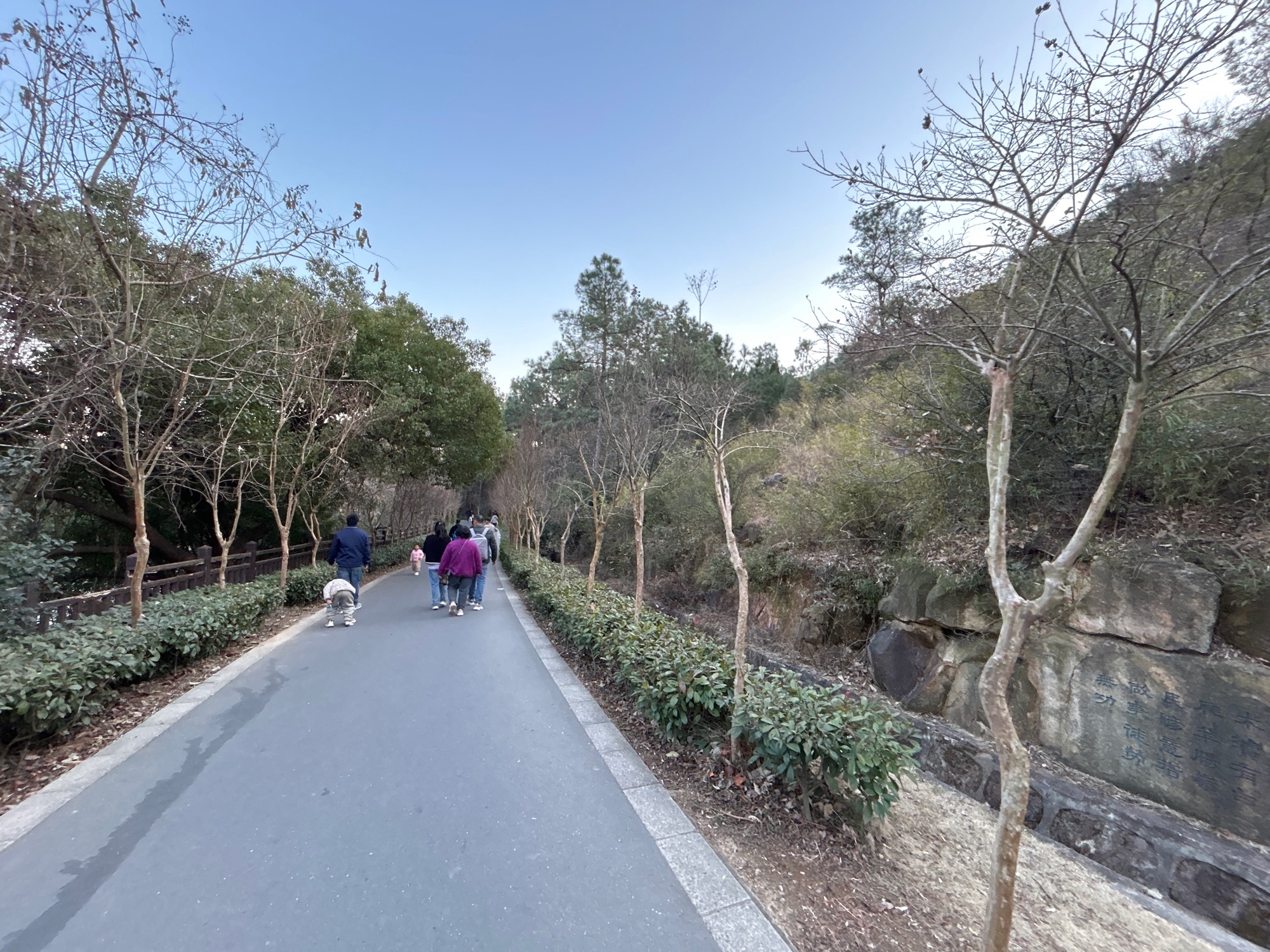 羊肠岭旅行图片 3