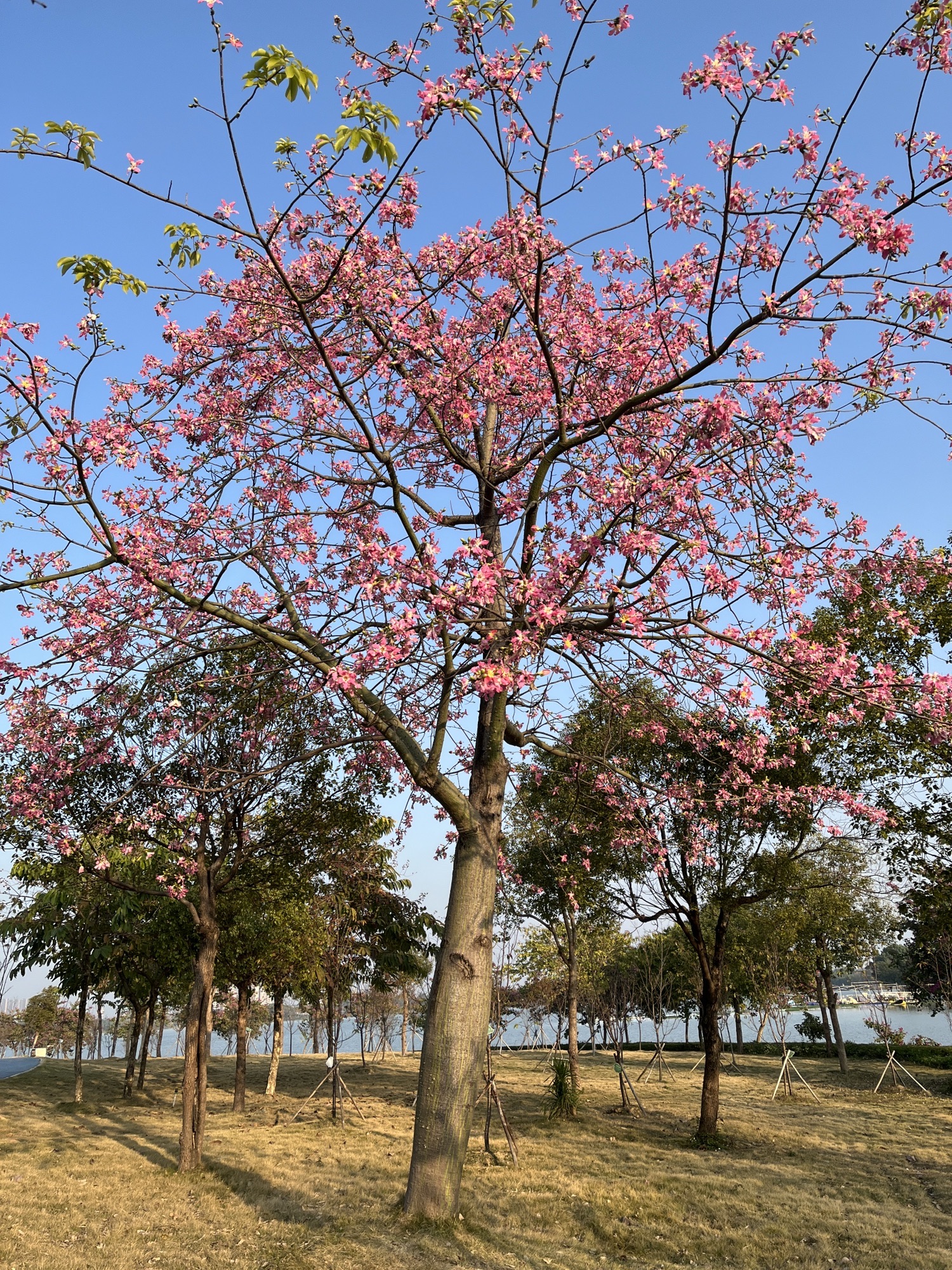 砚阳湖景区旅行图片 1