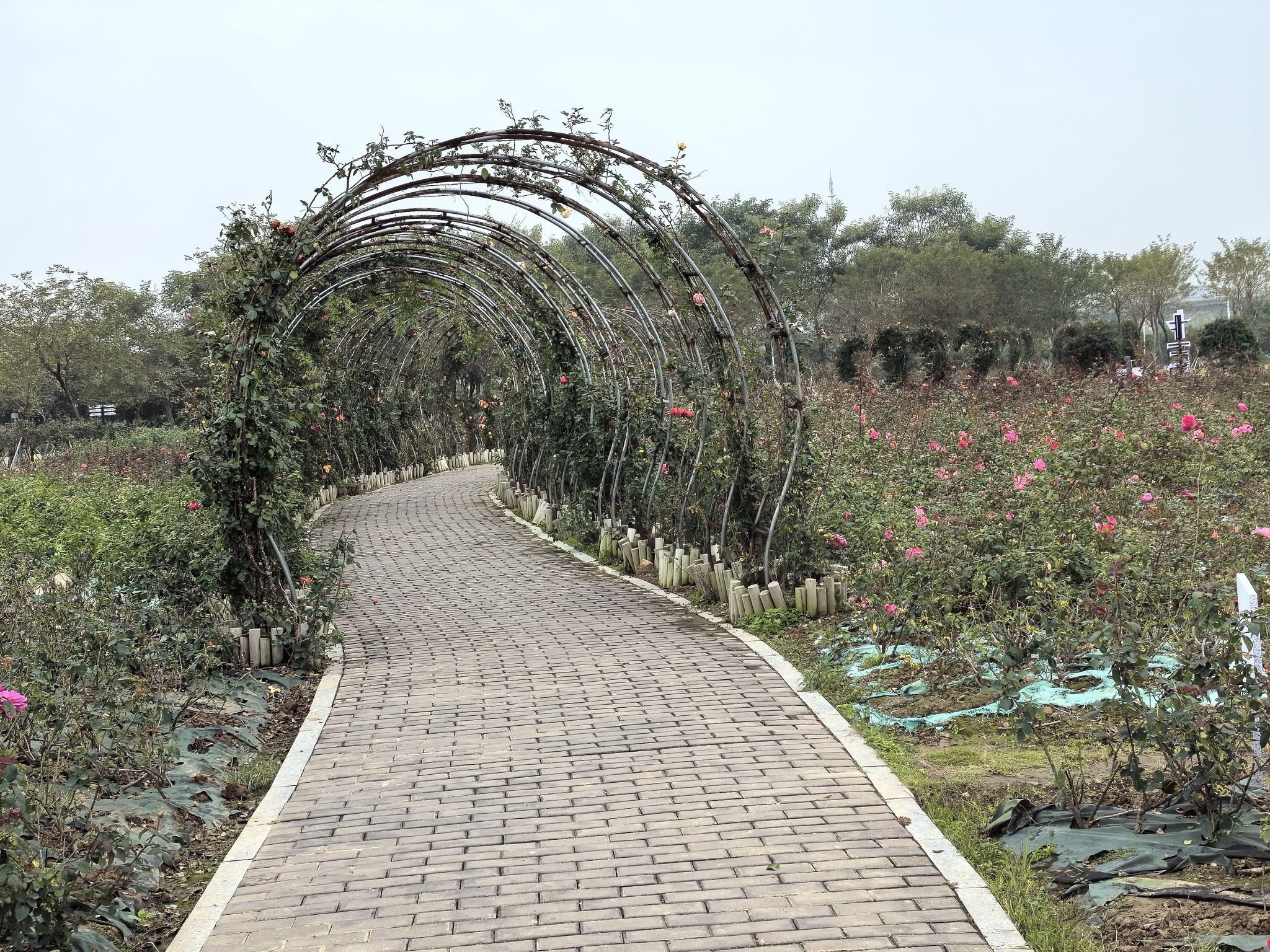 砚阳湖景区旅行图片 3