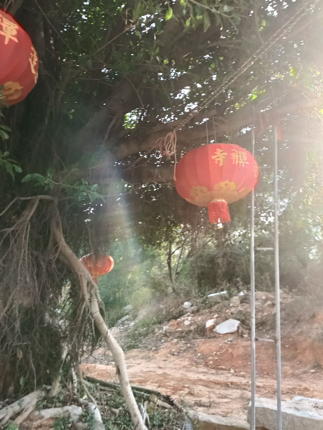 法莲禅寺实景照片