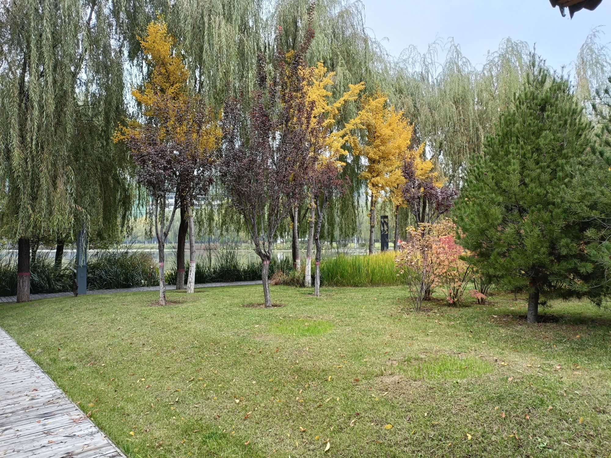 吕梁市知春湖公园