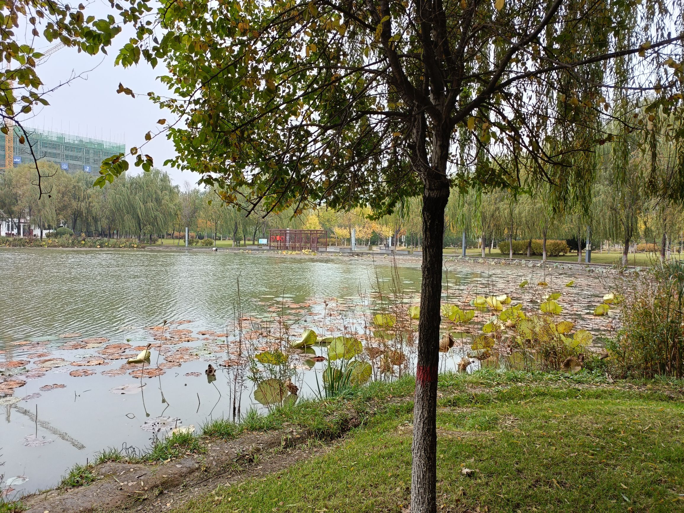 吕梁市知春湖公园