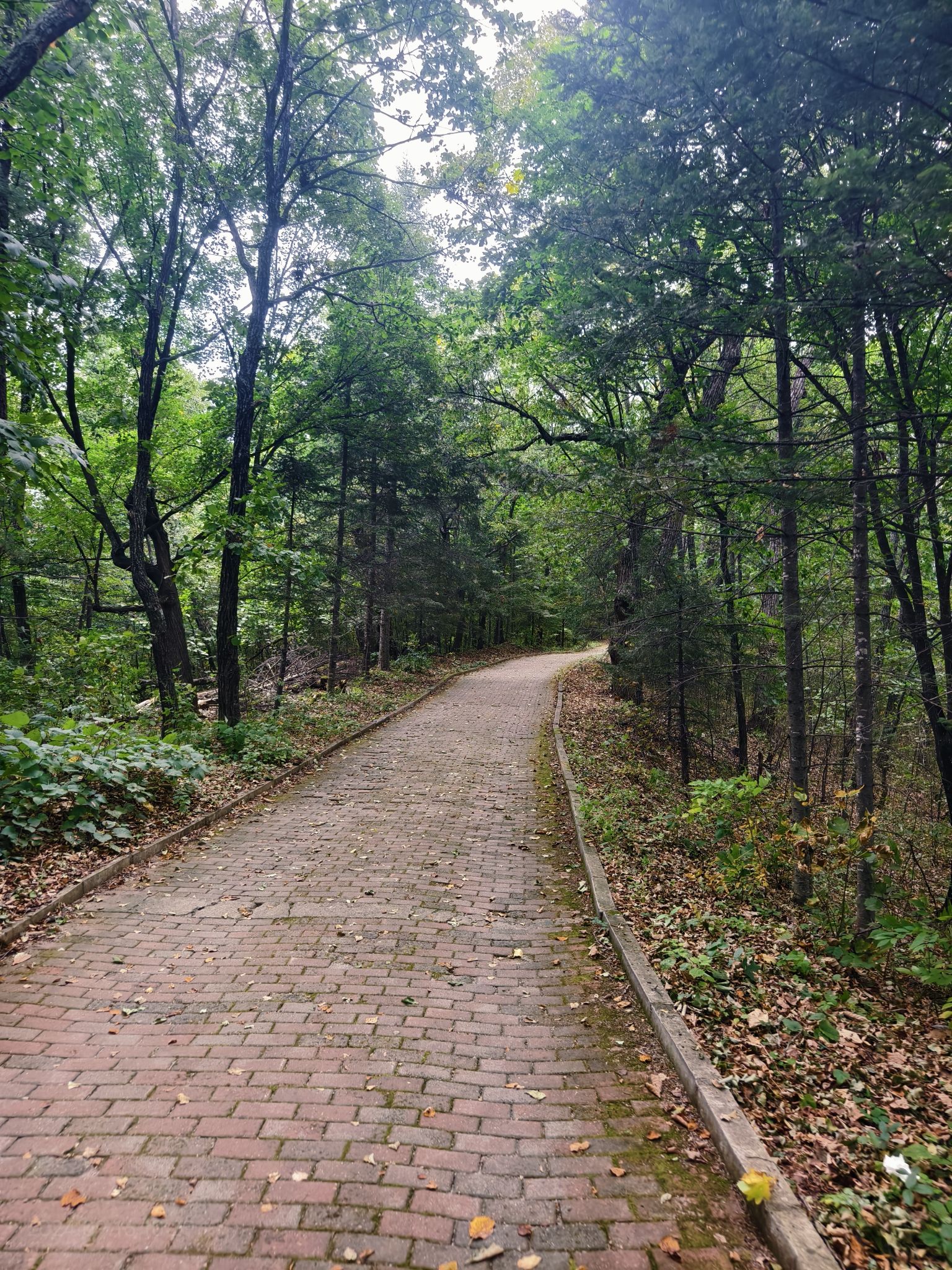 龙江观光塔旅行图片 2