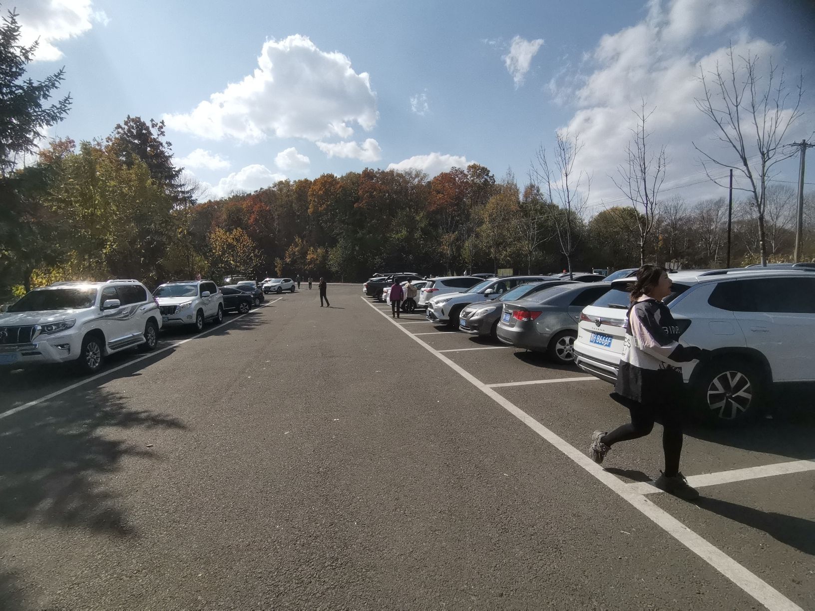 龙江观光塔旅行图片 3