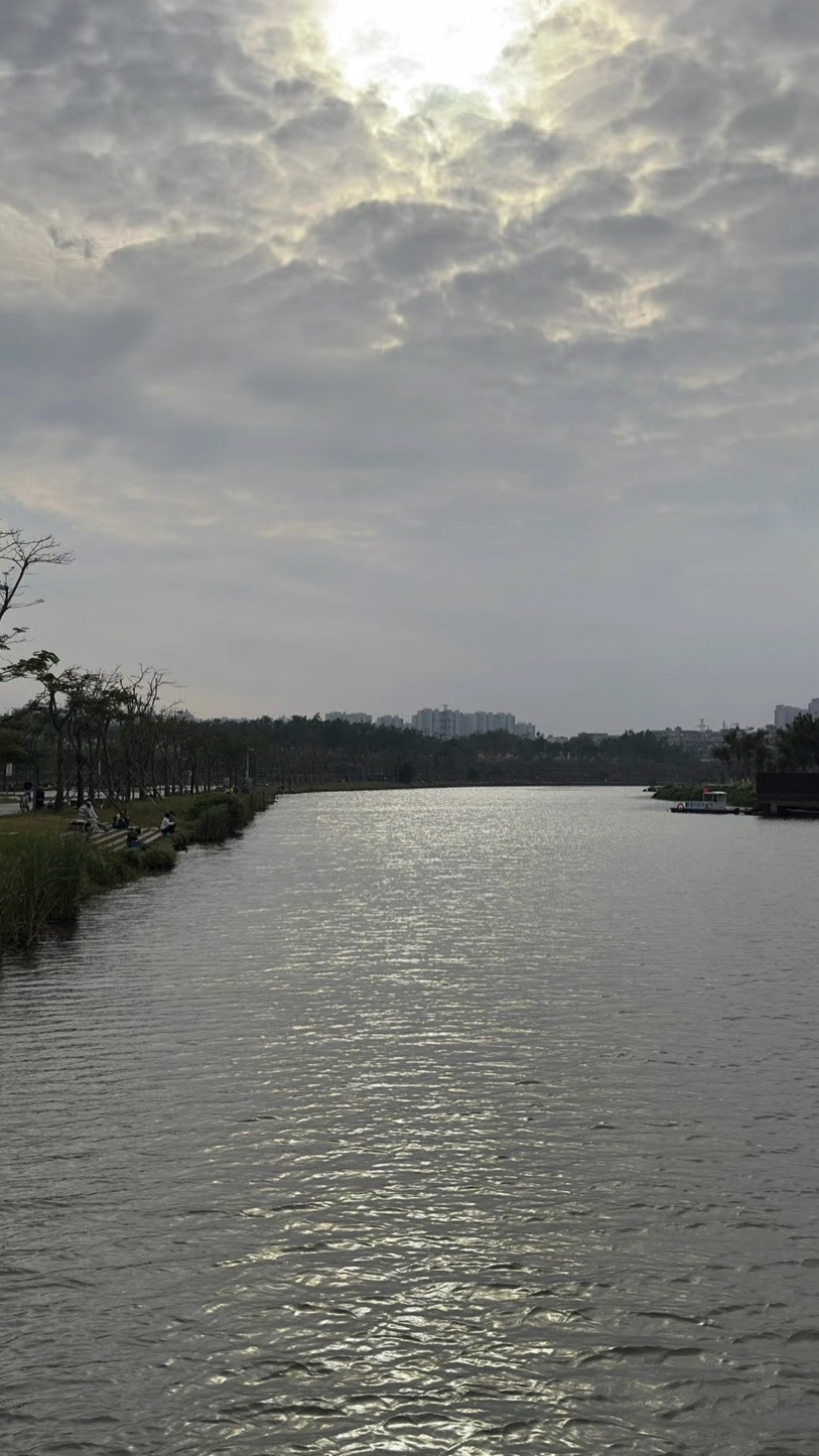 美舍河群上湿地公园