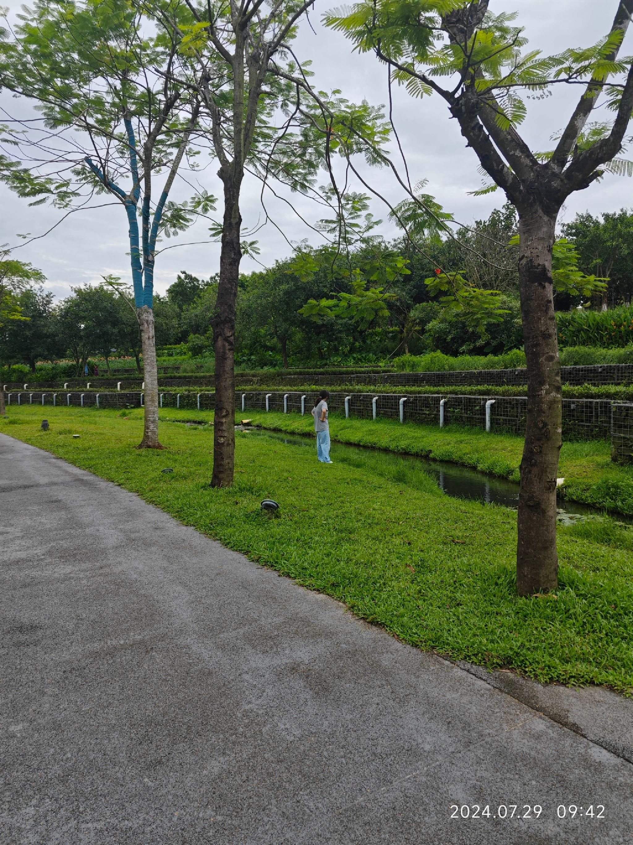 美舍河群上湿地公园旅行图片 3