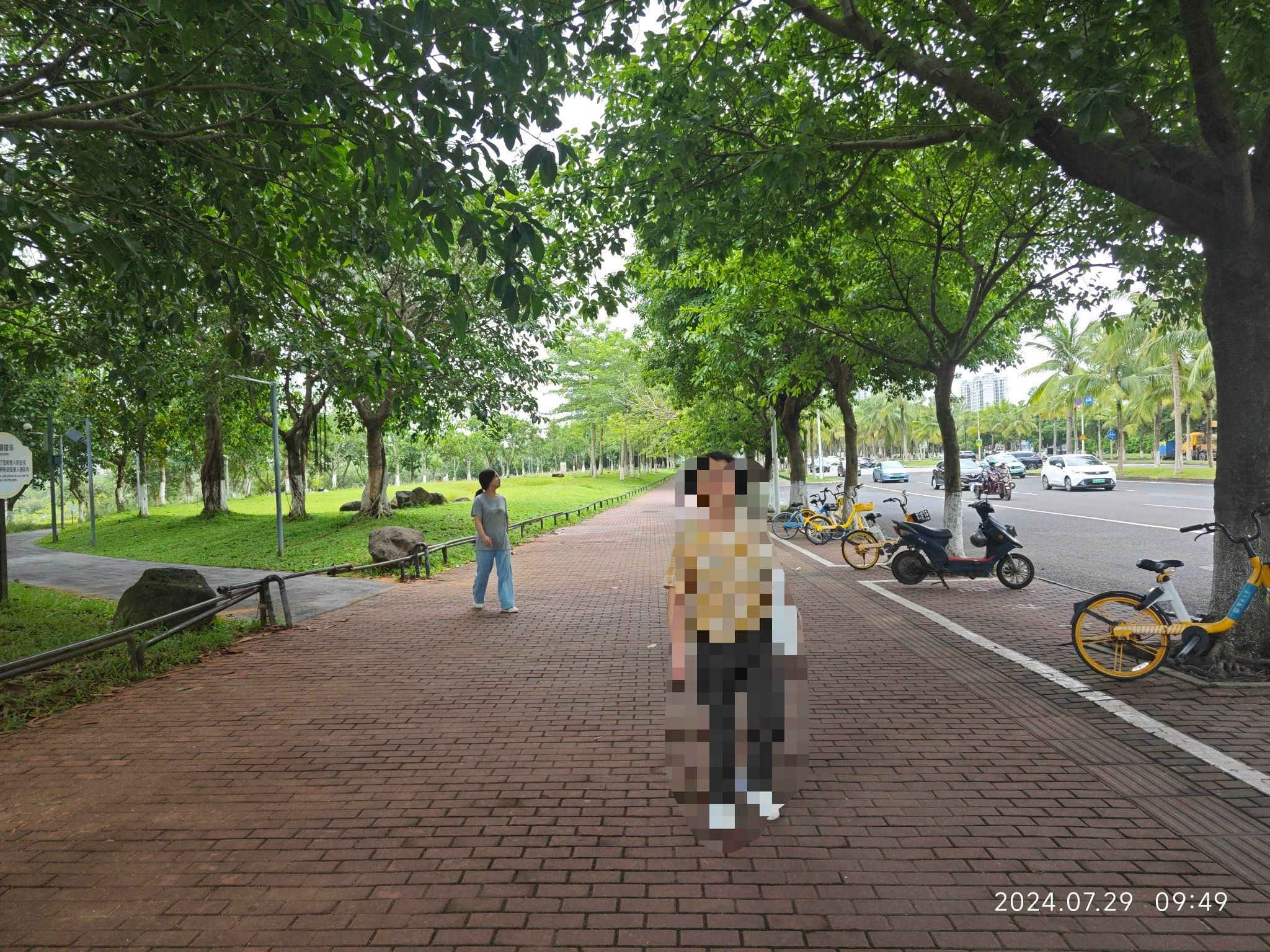 美舍河群上湿地公园旅行图片 1