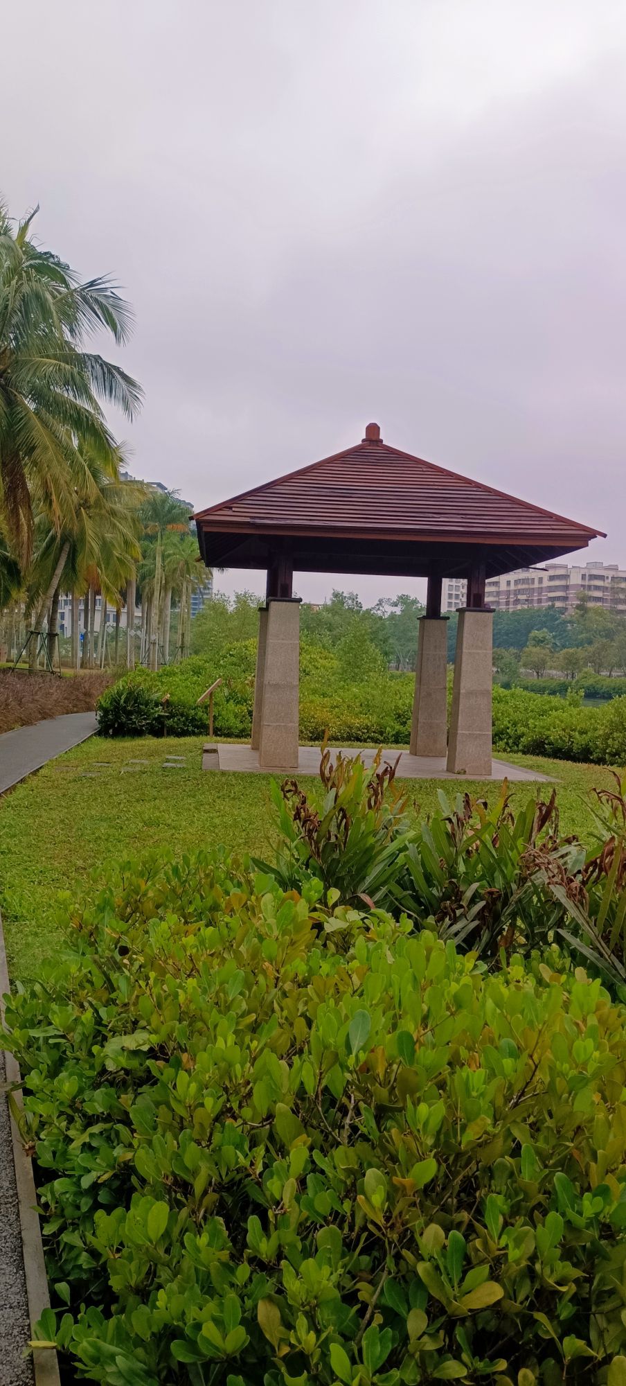 美舍河群上湿地公园