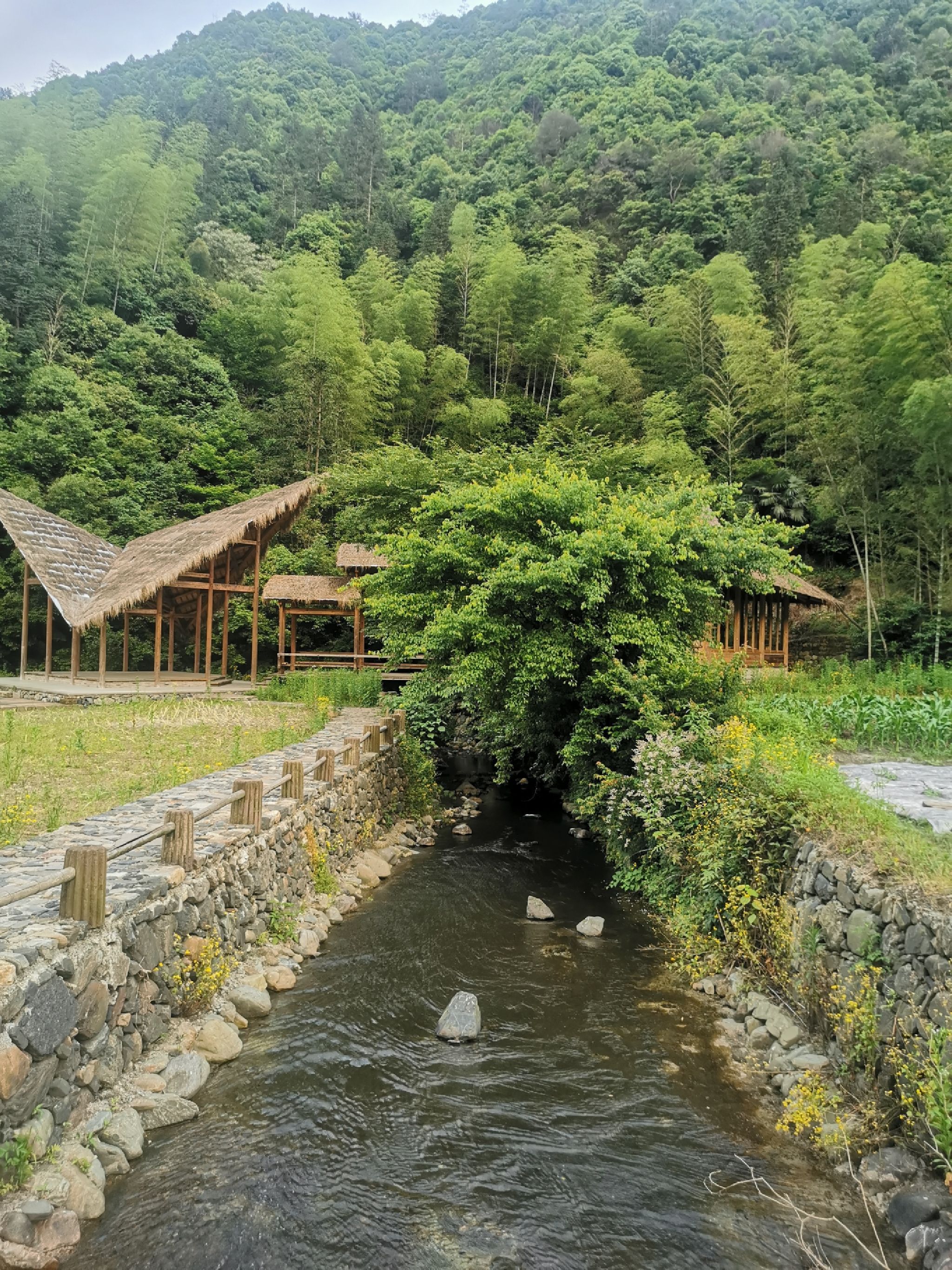 黄山自在谷旅行图片 1