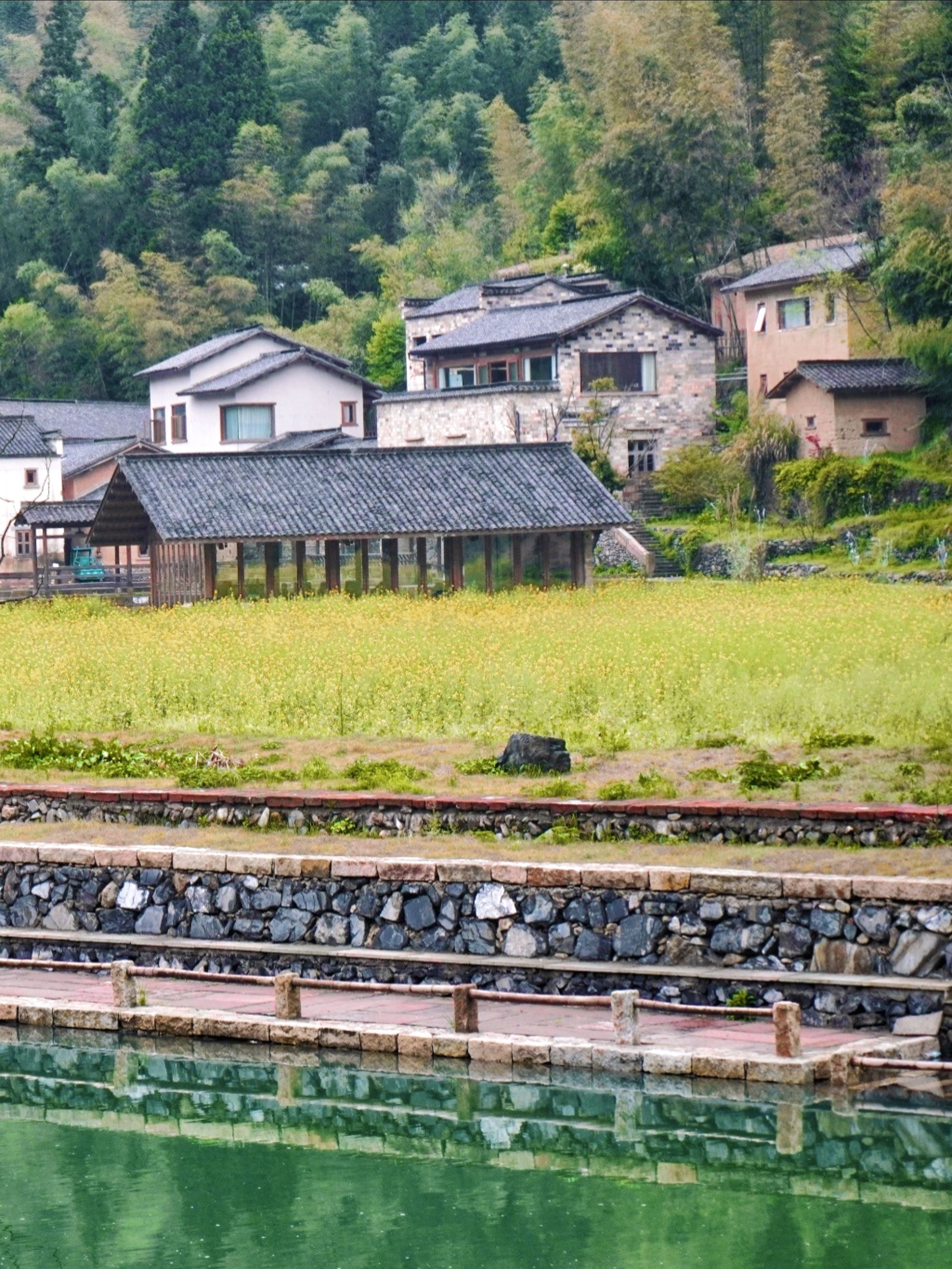 黄山自在谷旅行图片 2