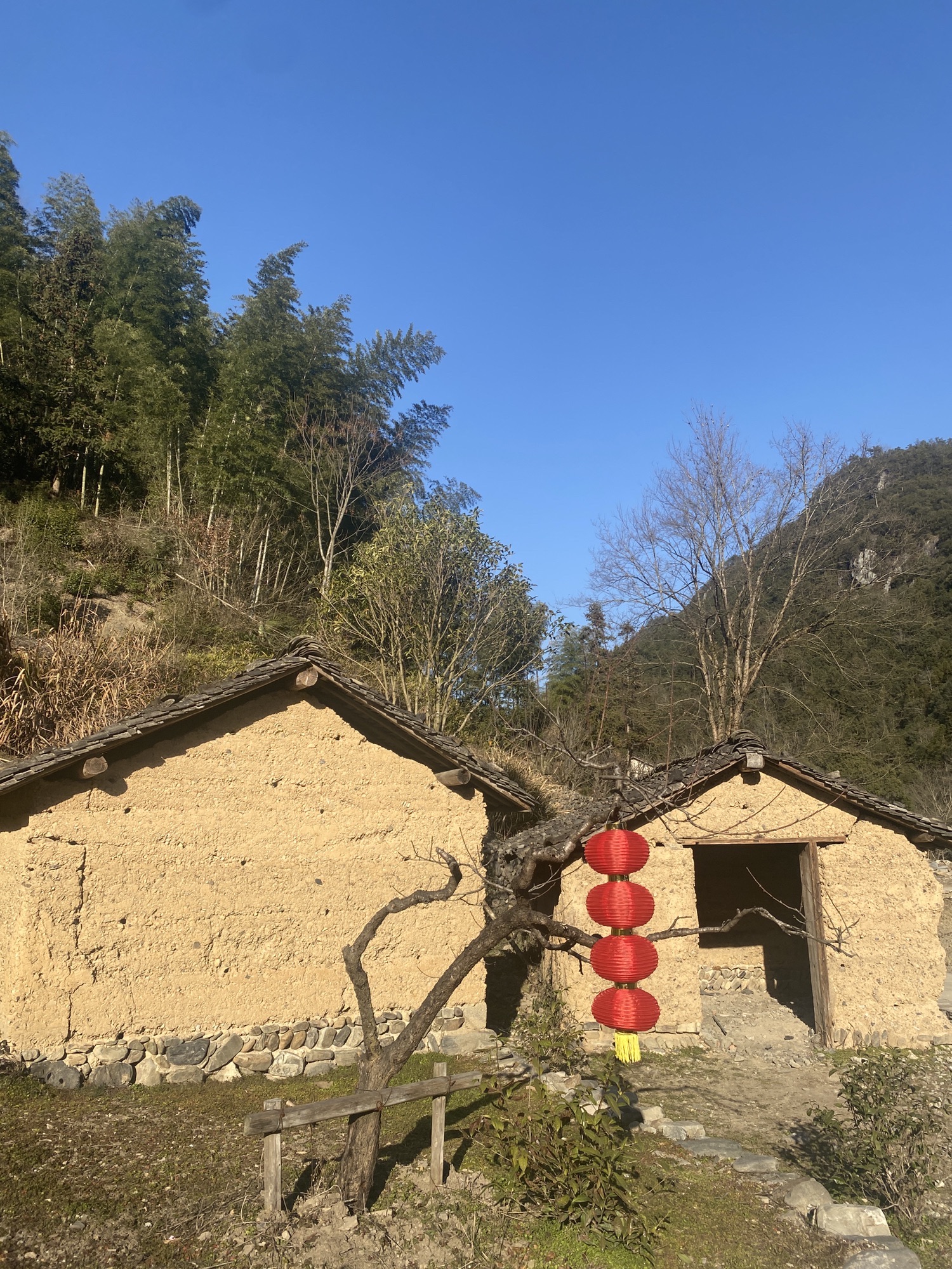 黄山自在谷旅行图片 1