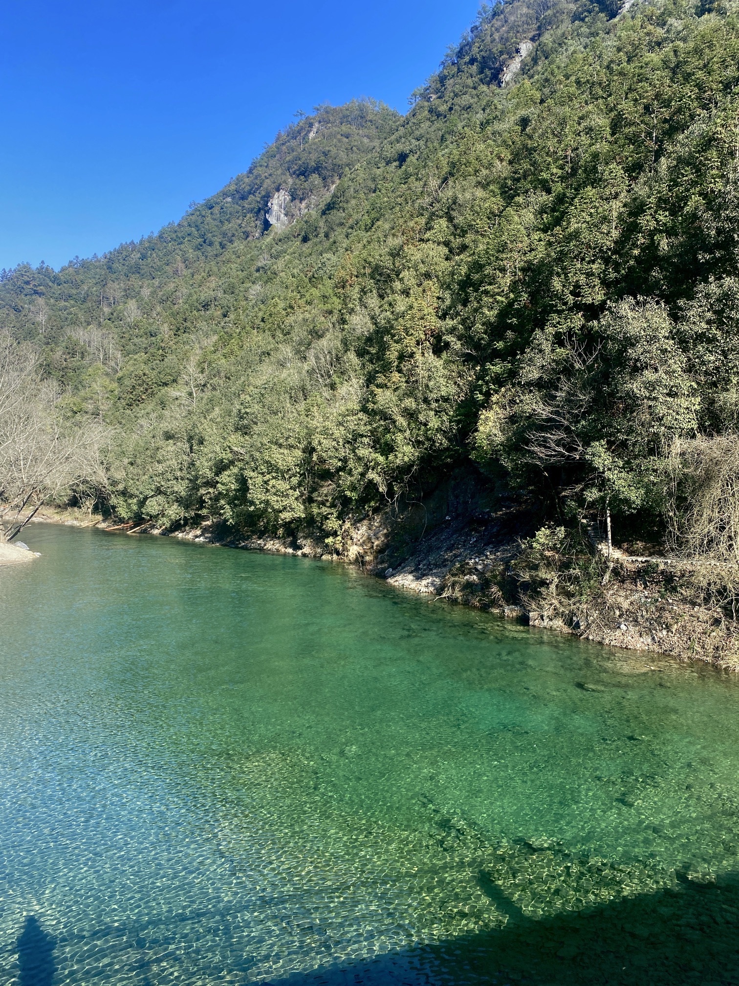 黄山自在谷旅行图片 2