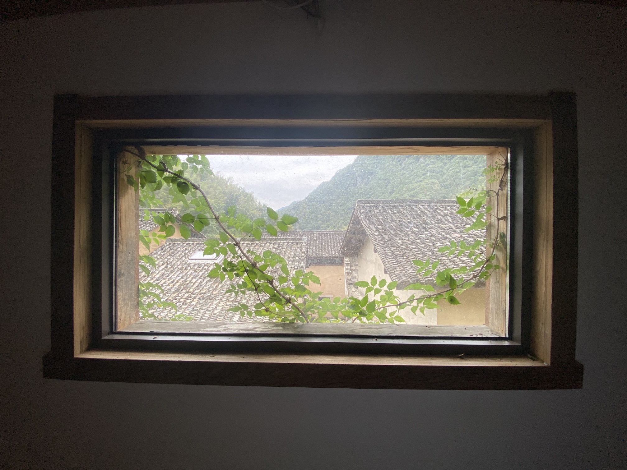 黄山自在谷旅行图片 1