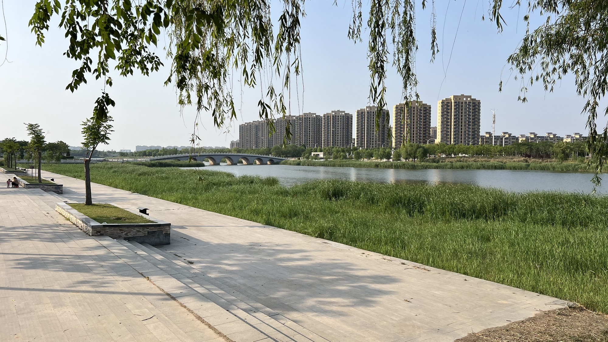 菏曹运河湿地公园旅行图片 3