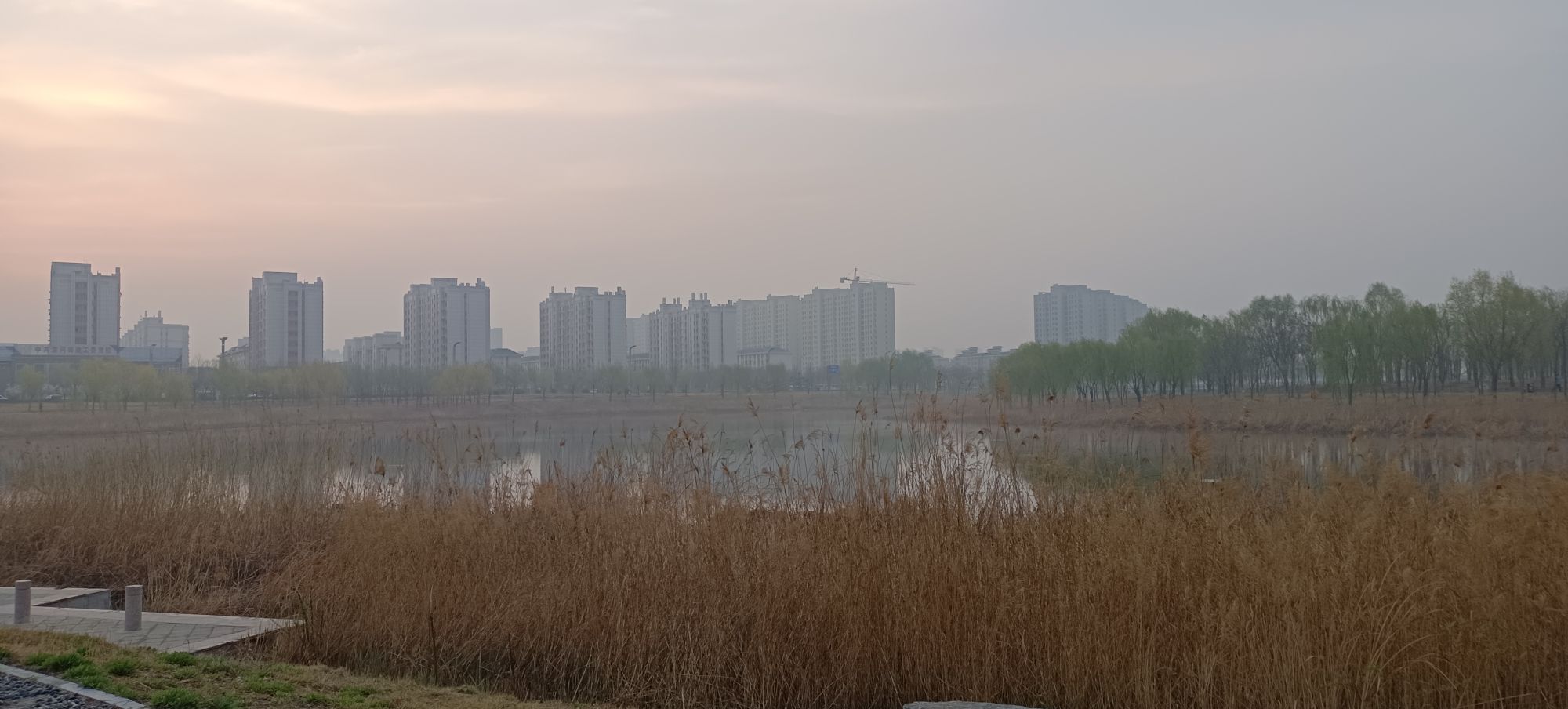 菏曹运河湿地公园旅行图片 3
