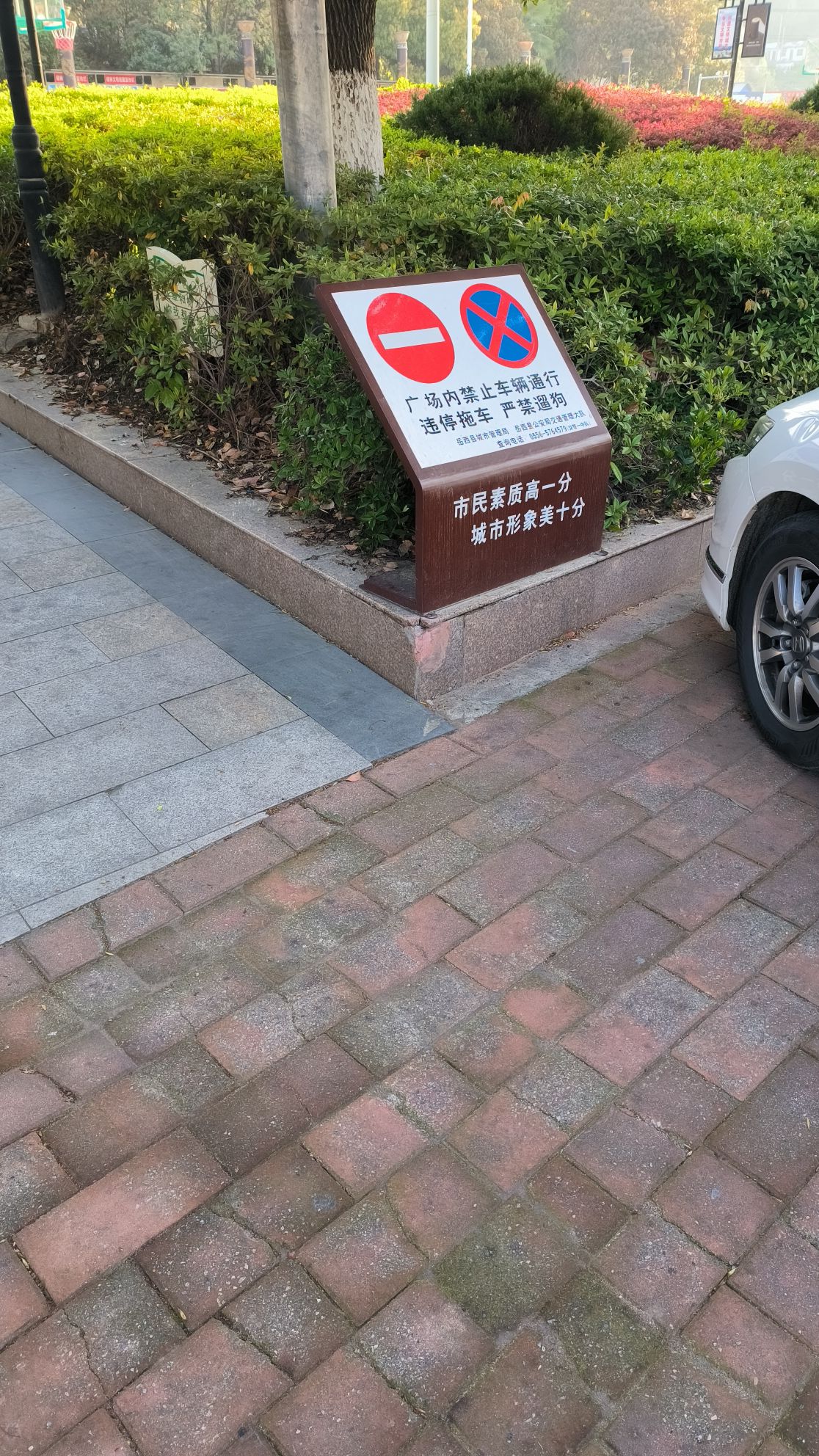 城西绿化广场旅行图片 1