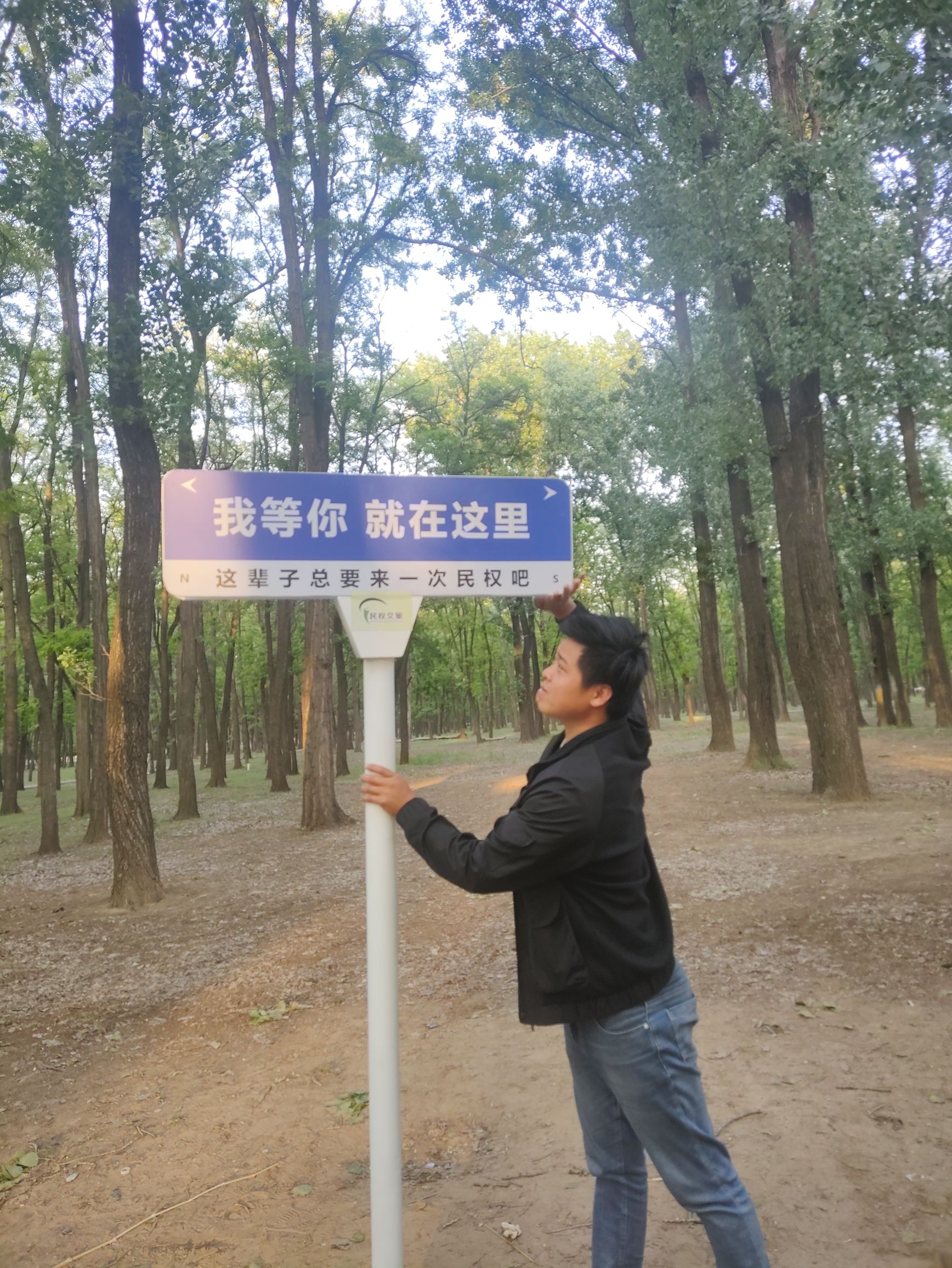 申甘林带槐花节广场旅行图片 3