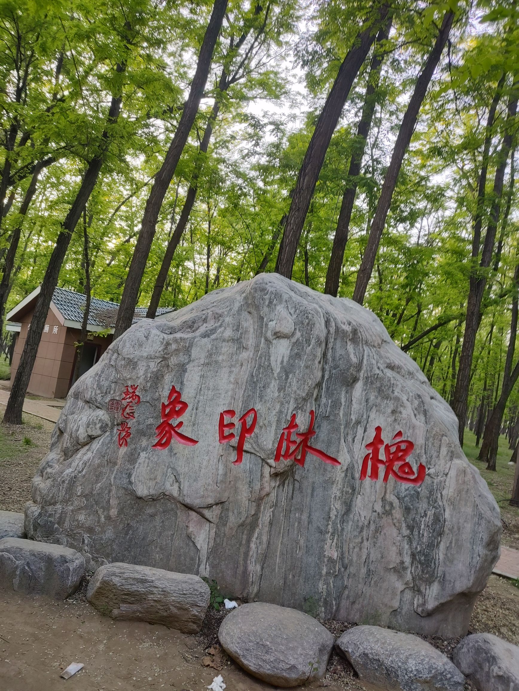 申甘林带槐花节广场旅行图片 2