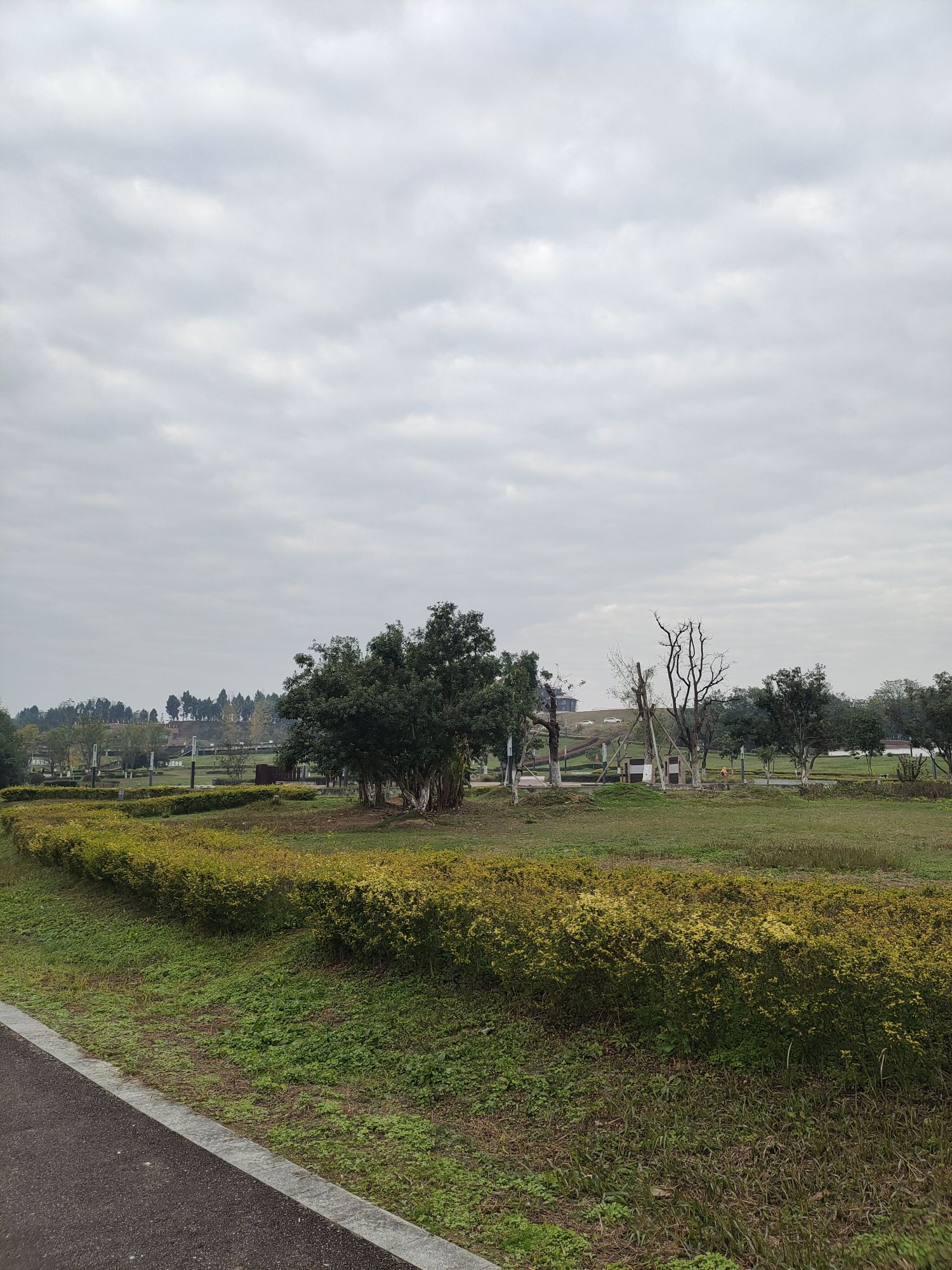 天乐谷景区旅行图片 3