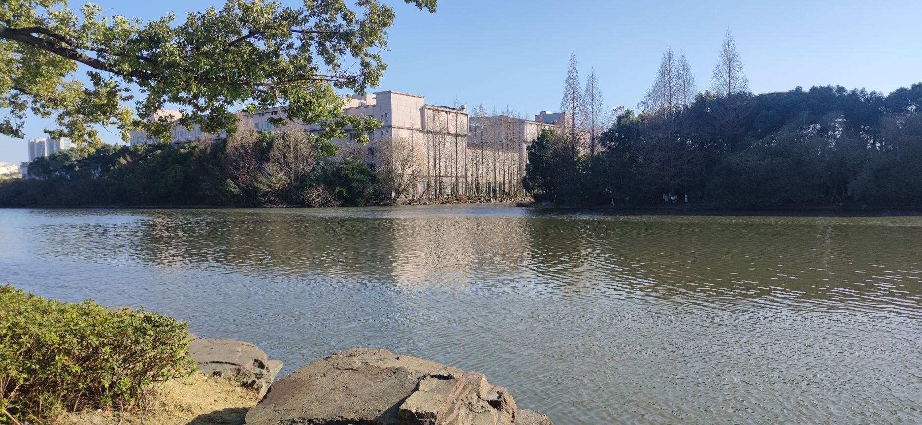 西塘河公园旅行图片 3