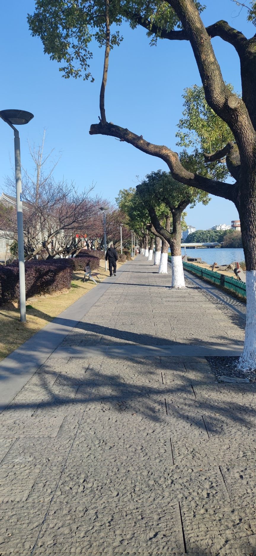 西塘河公园旅行图片 2