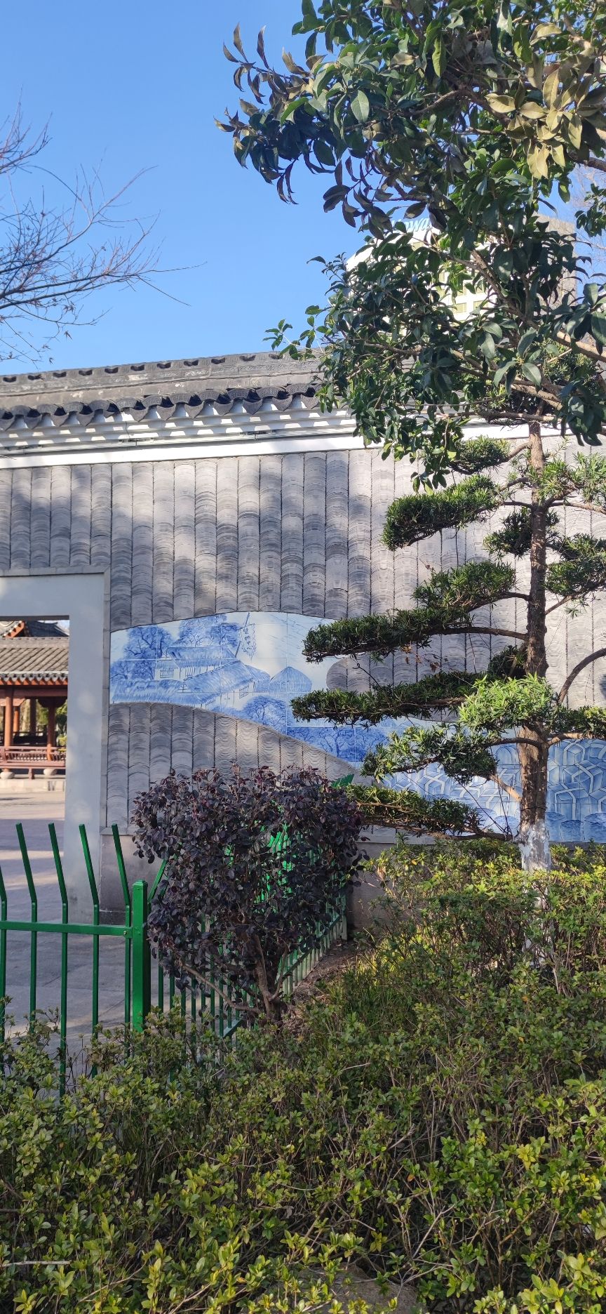 西塘河公园旅行图片 1