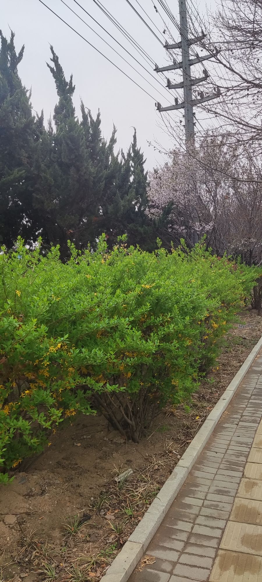 冒险公园旅行图片 1