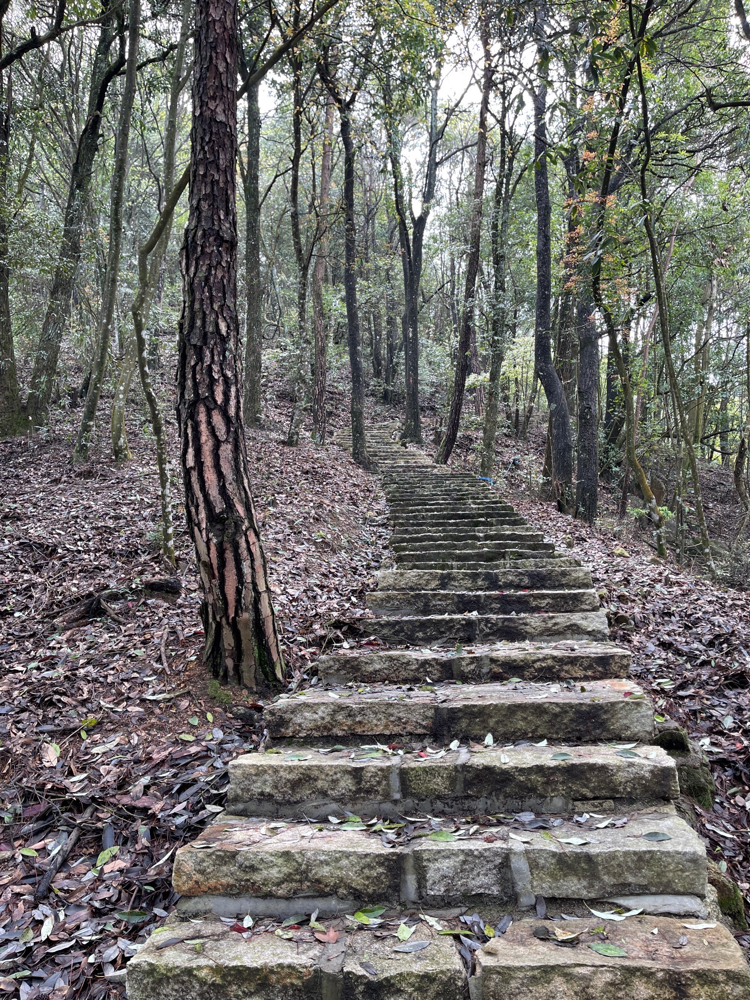 云峰古寺