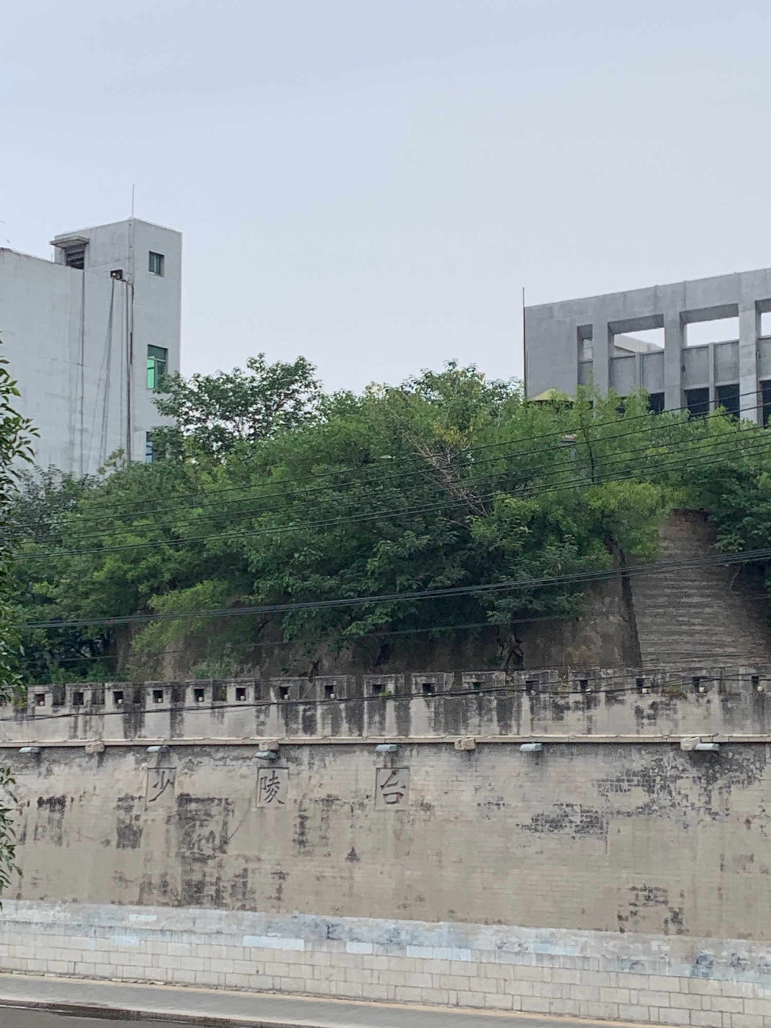 少陵台旅行图片 1