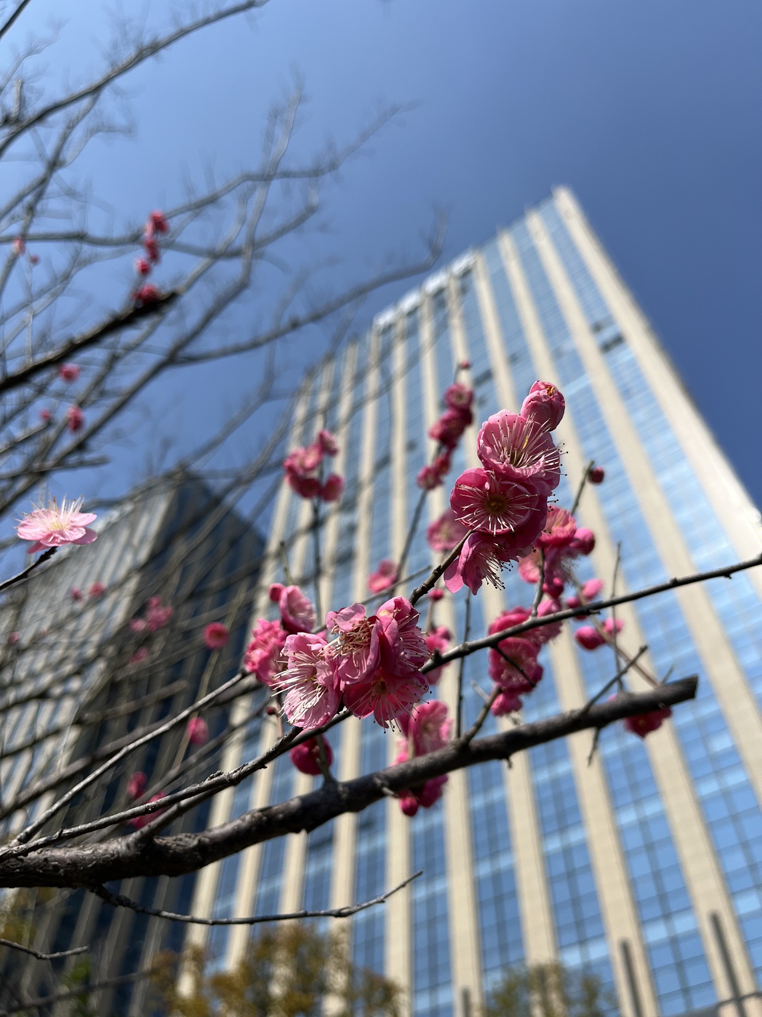 闻涛路一桥公园旅行图片 3
