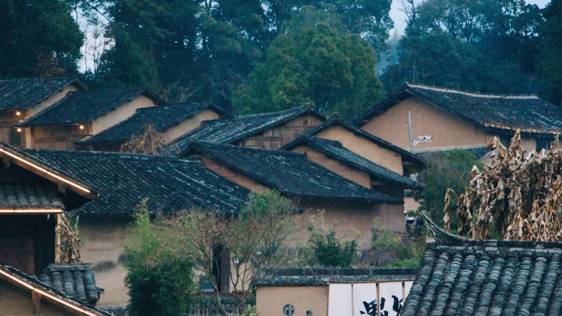 交垟土楼旅行图片 2