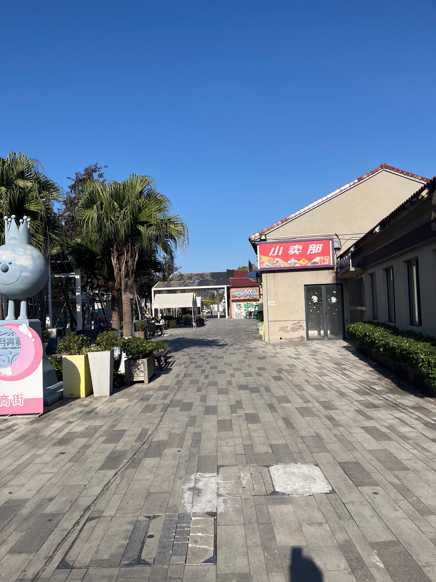 洪塘湾公园旅行图片 1