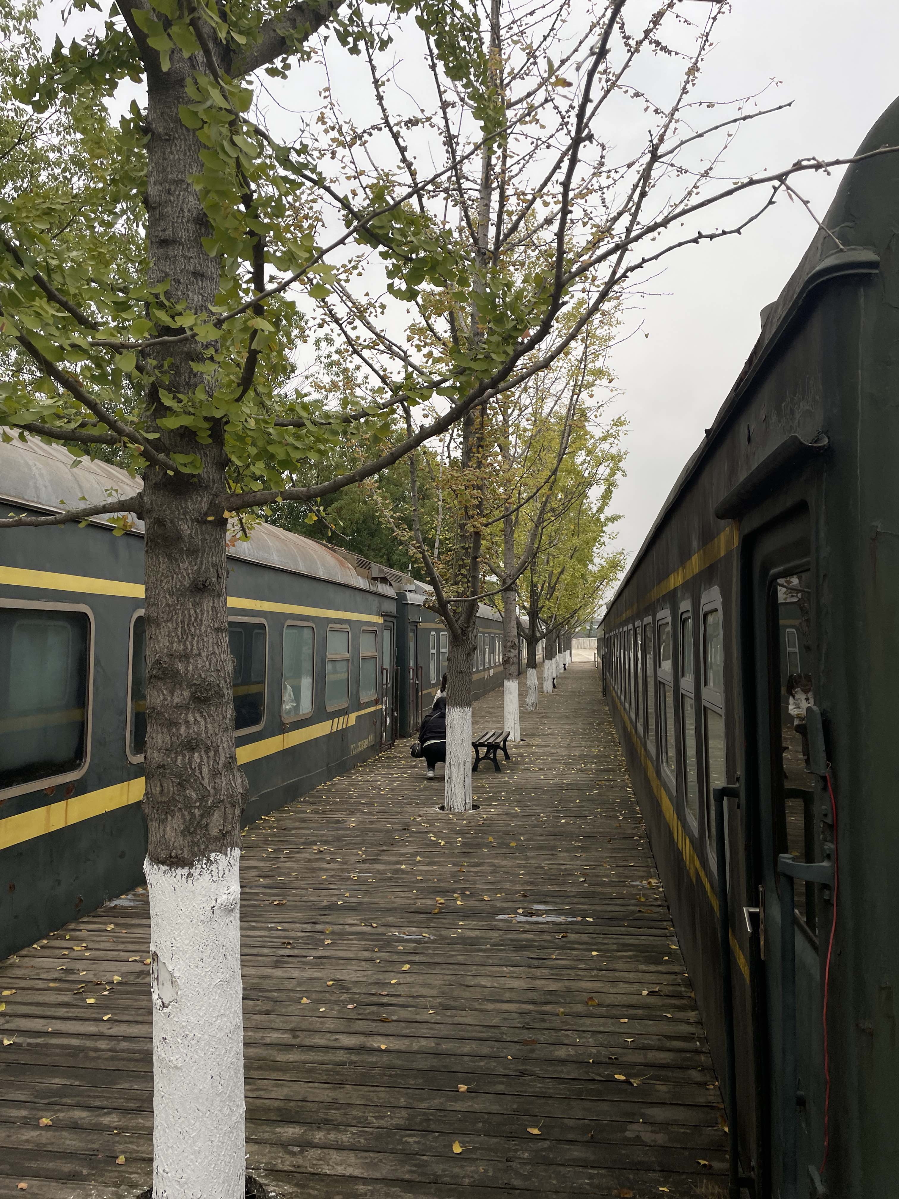 洪塘湾公园旅行图片 3