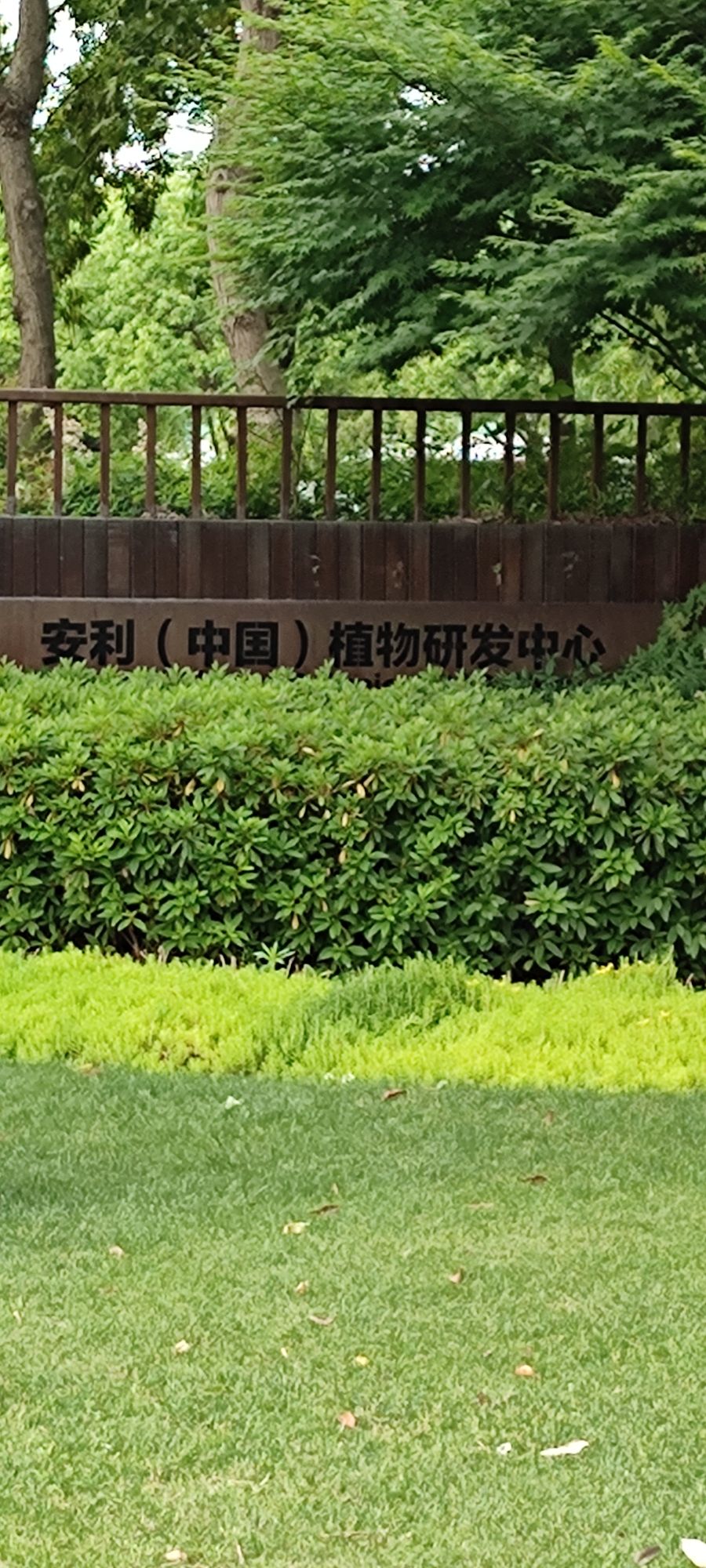 安利文化园旅行图片
