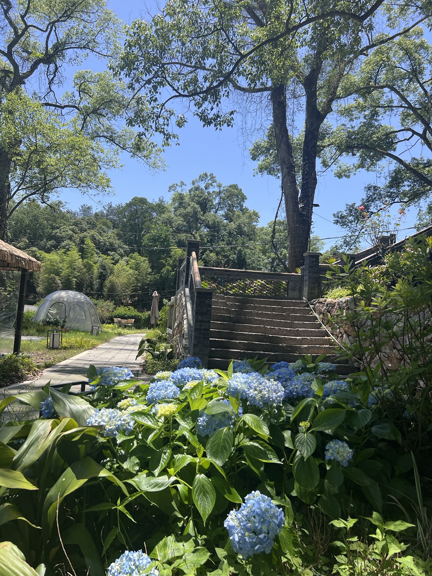 醉美平溪旅行图片 3
