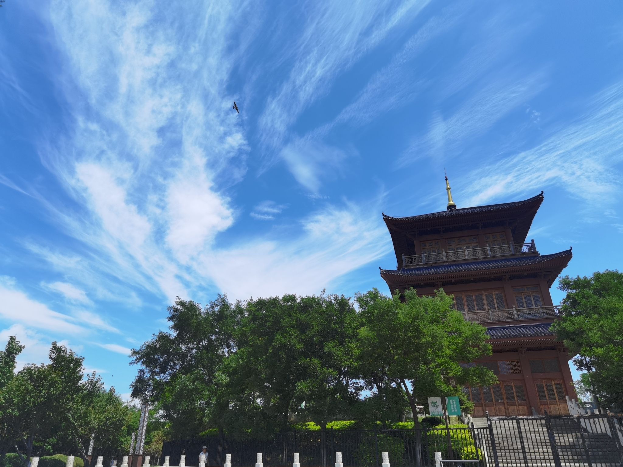 青龙山公园-观光塔
