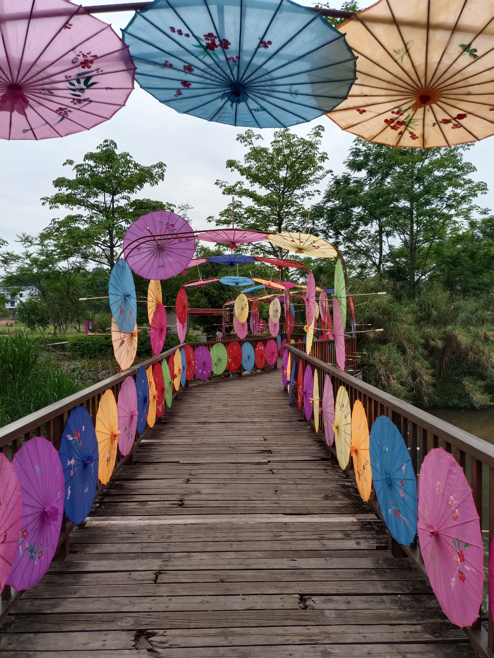 孔元花世界花海旅行图片 2