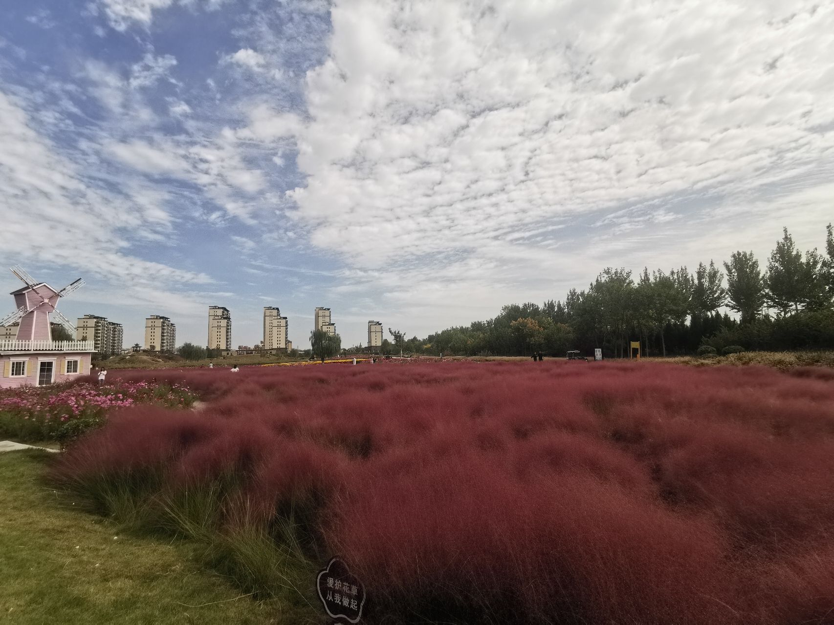郊野公园旅行图片 2