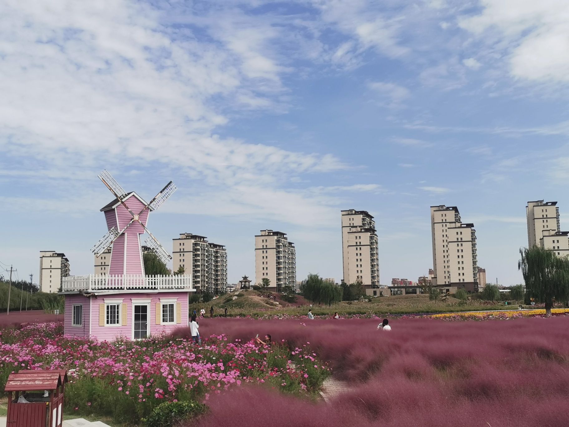郊野公园旅行图片 1