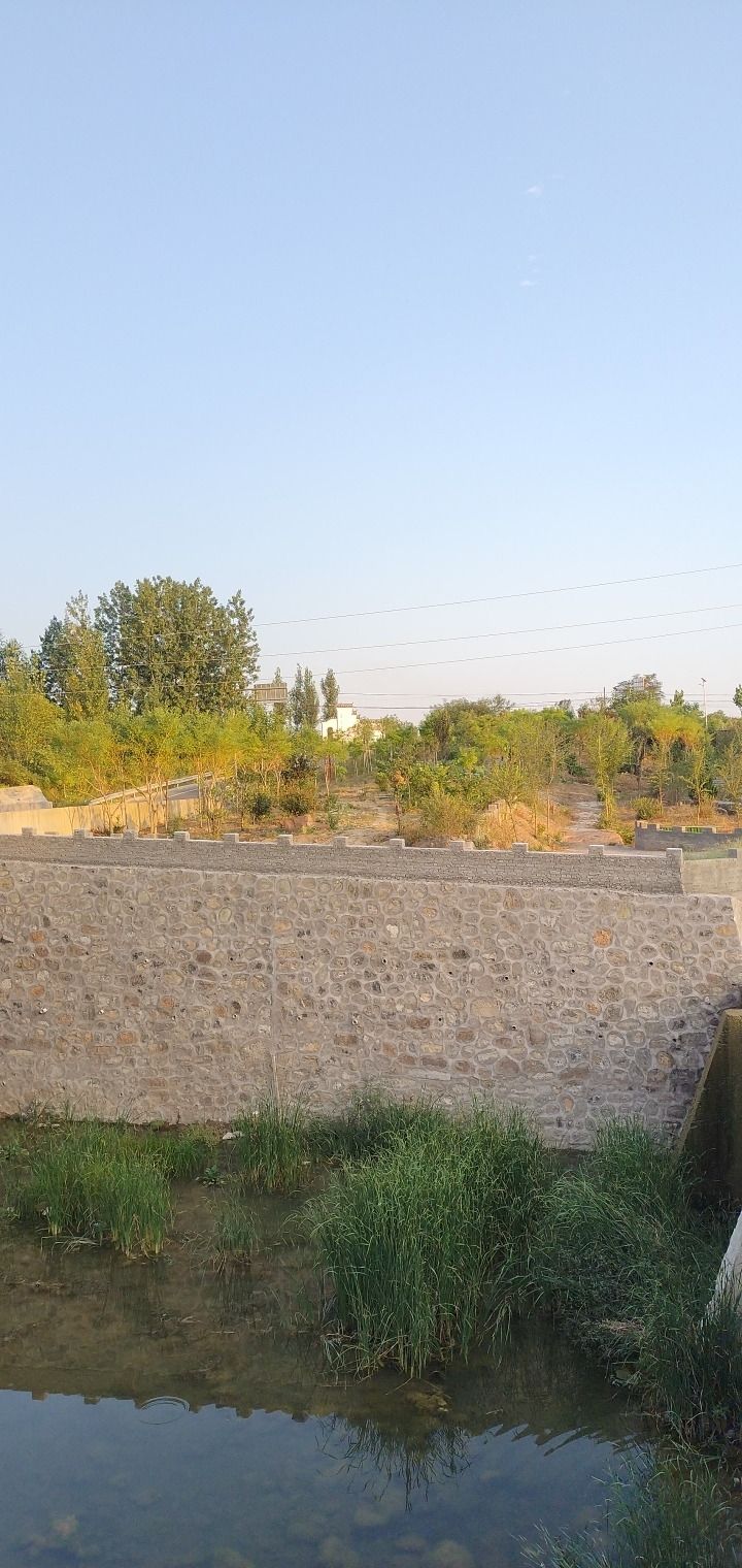 固源西浦湿地公园旅行图片 3