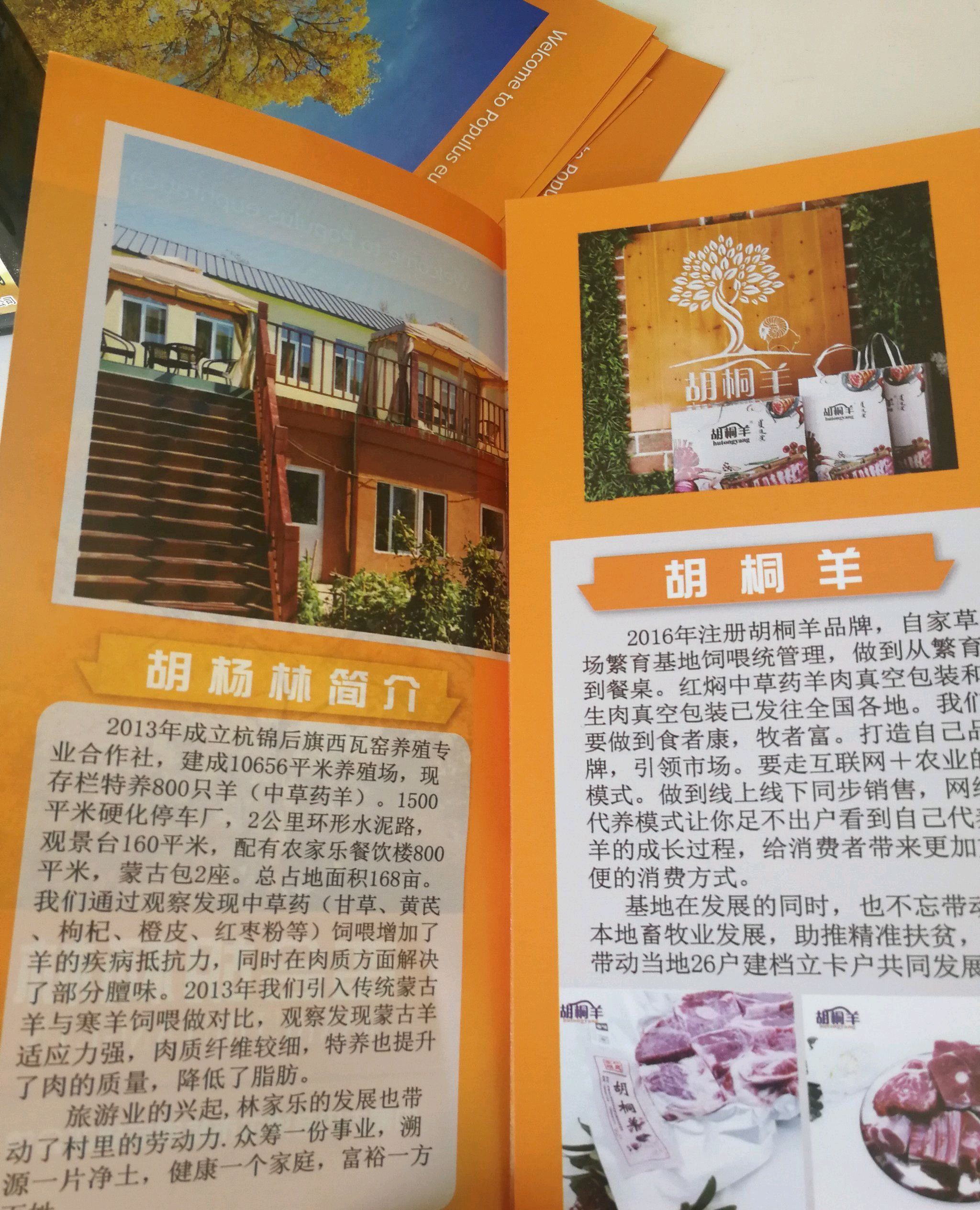 蛮会胡杨林旅行图片 3