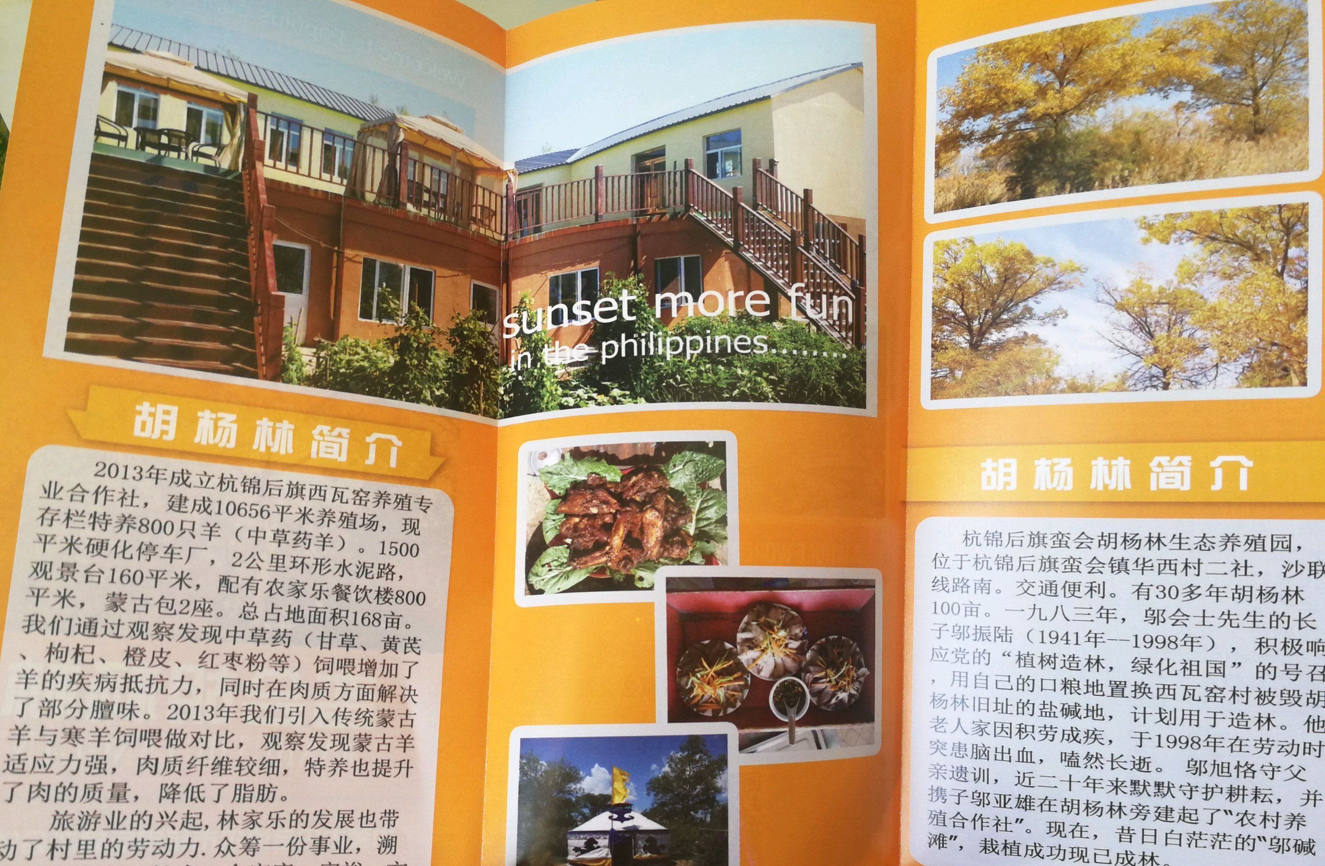 蛮会胡杨林旅行图片 2
