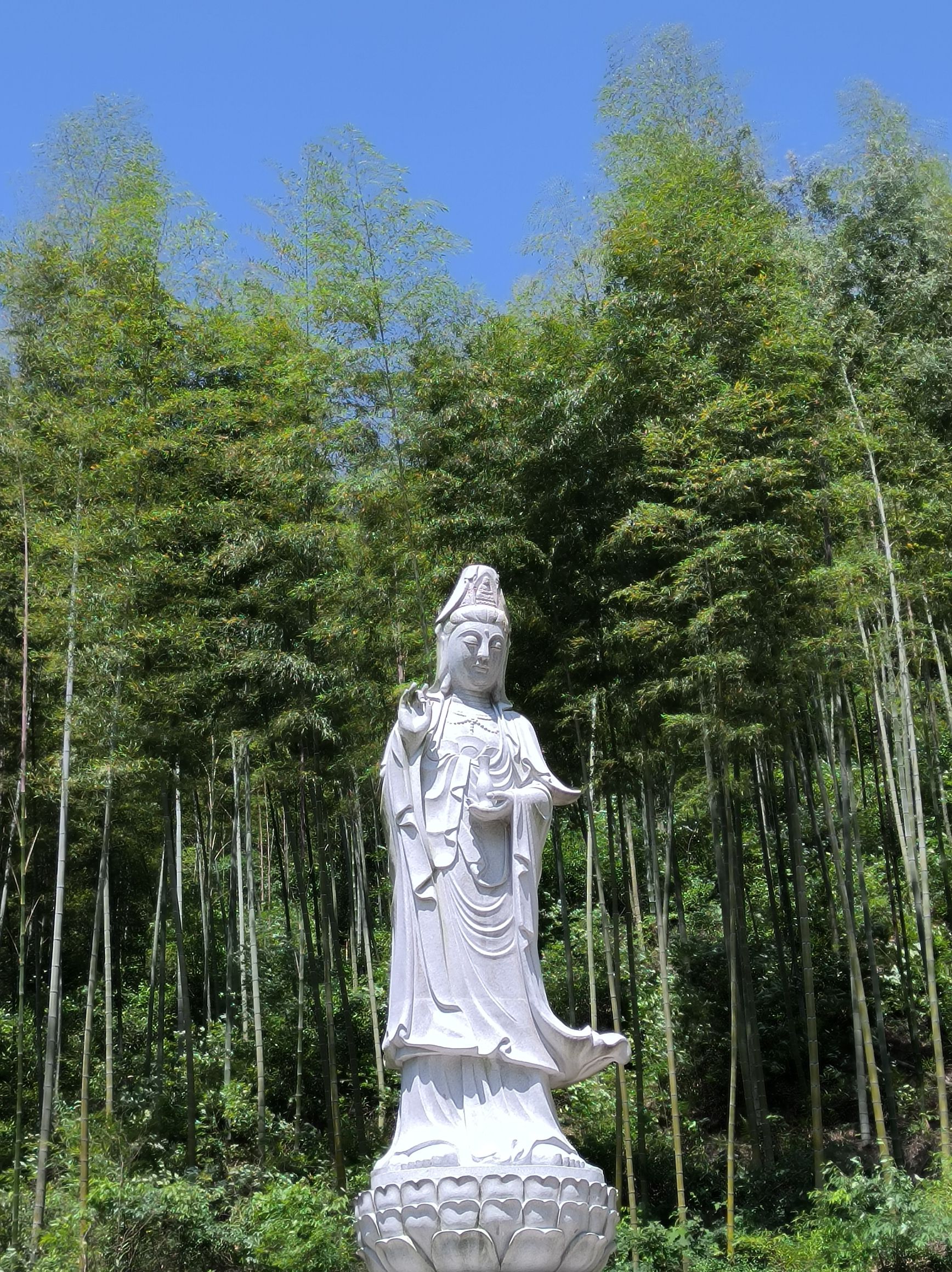饭甑山旅行图片 2