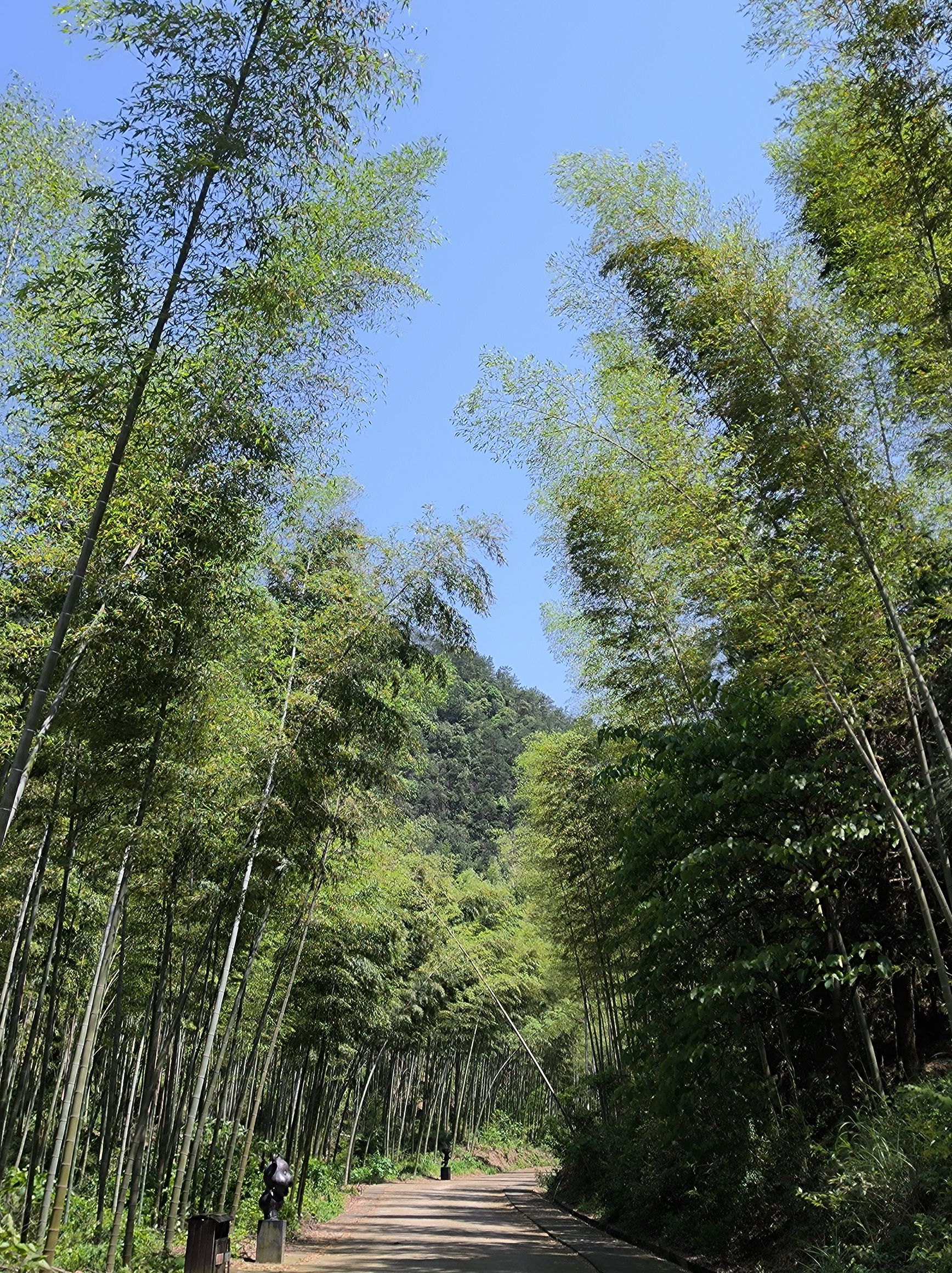 饭甑山旅行图片 1