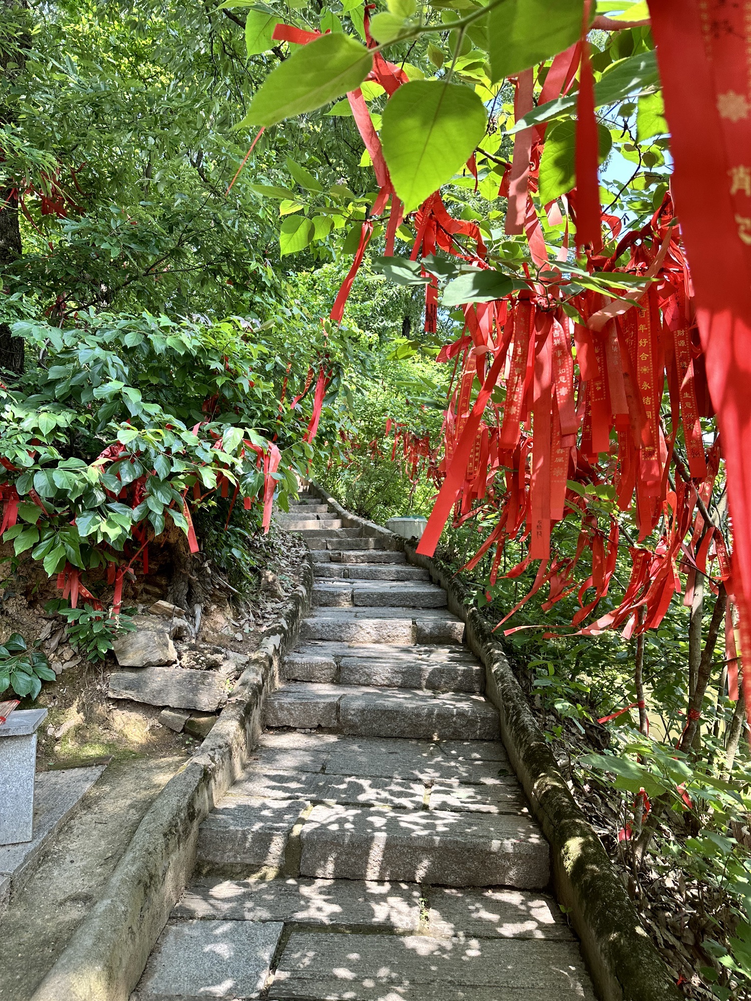 大苏山国家森林公园旅行图片 3