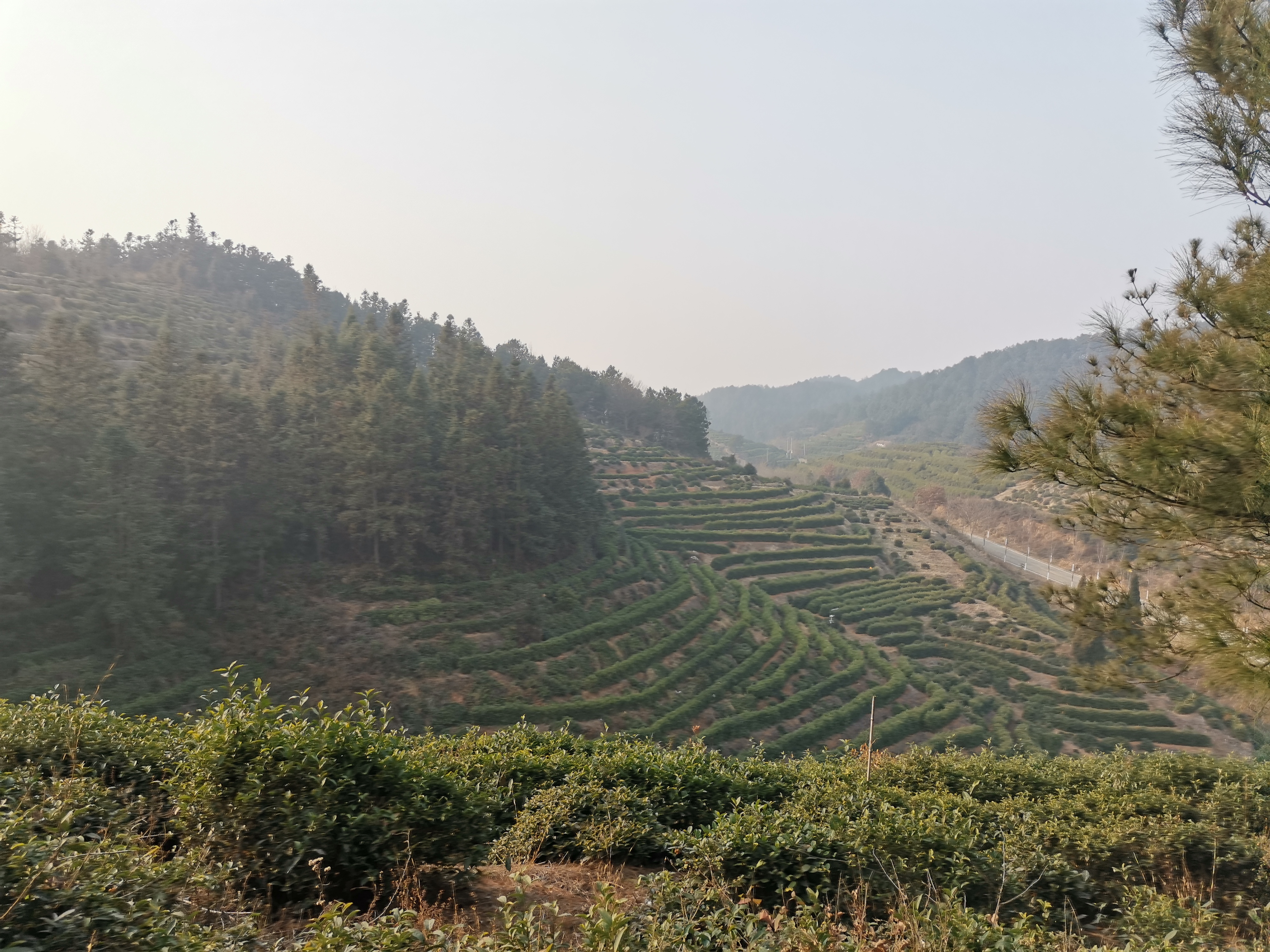 大苏山国家森林公园