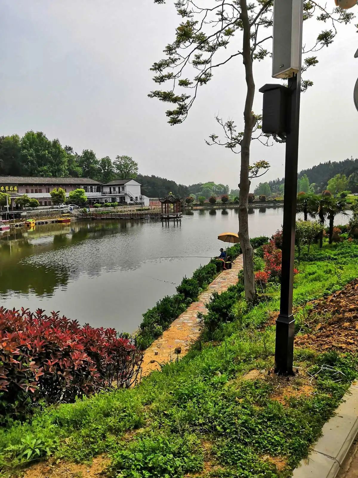 大苏山国家森林公园旅行图片 2