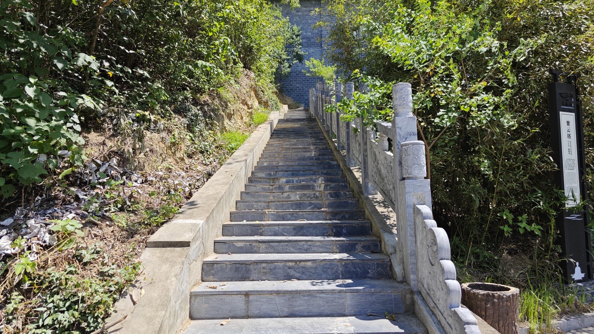 大苏山国家森林公园旅行图片 2