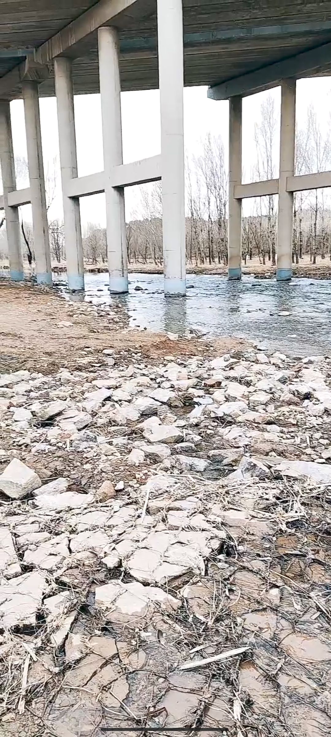 北票凉水河湿地旅游区旅行图片 3