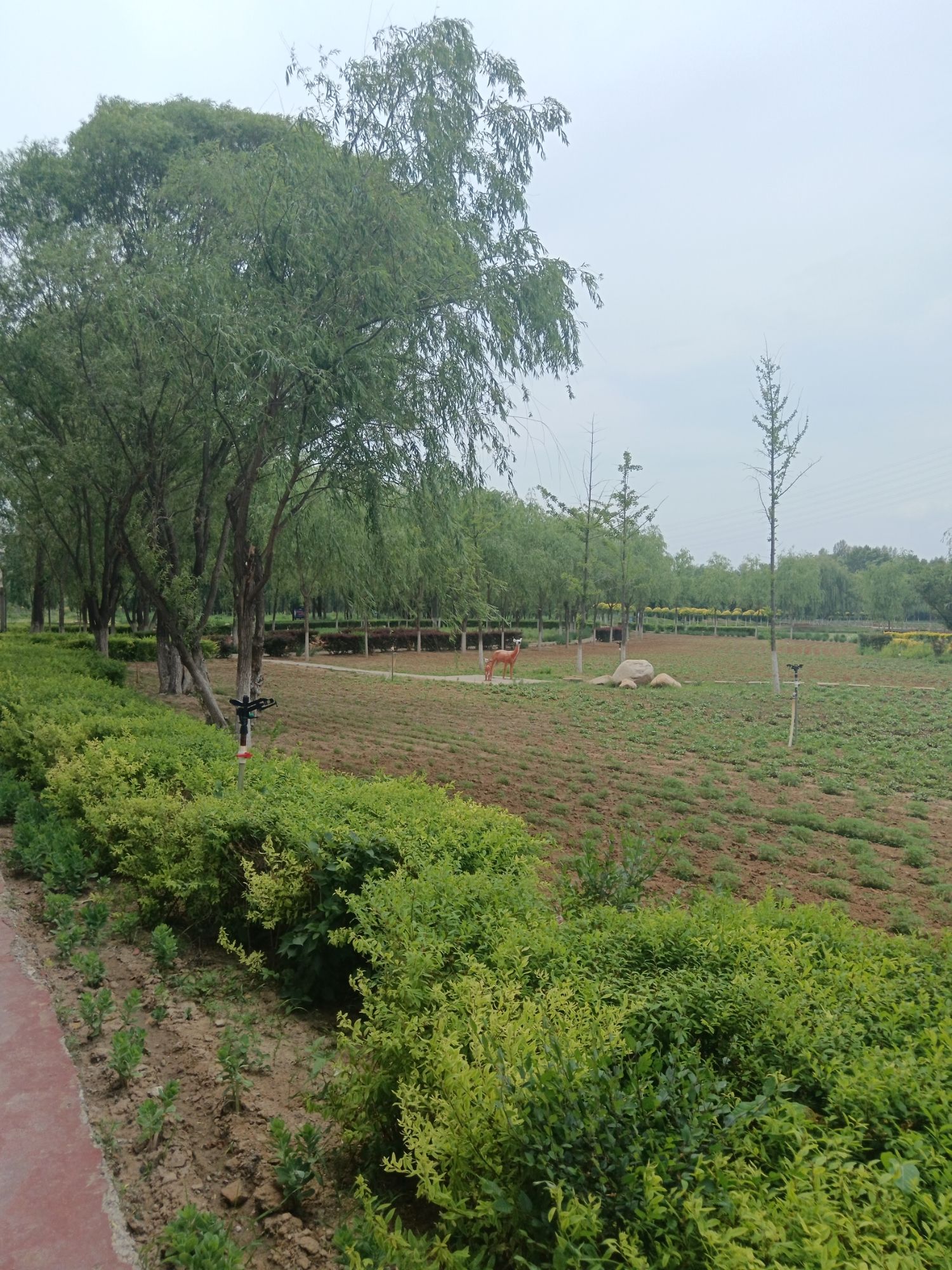 北票凉水河湿地旅游区旅行图片 2